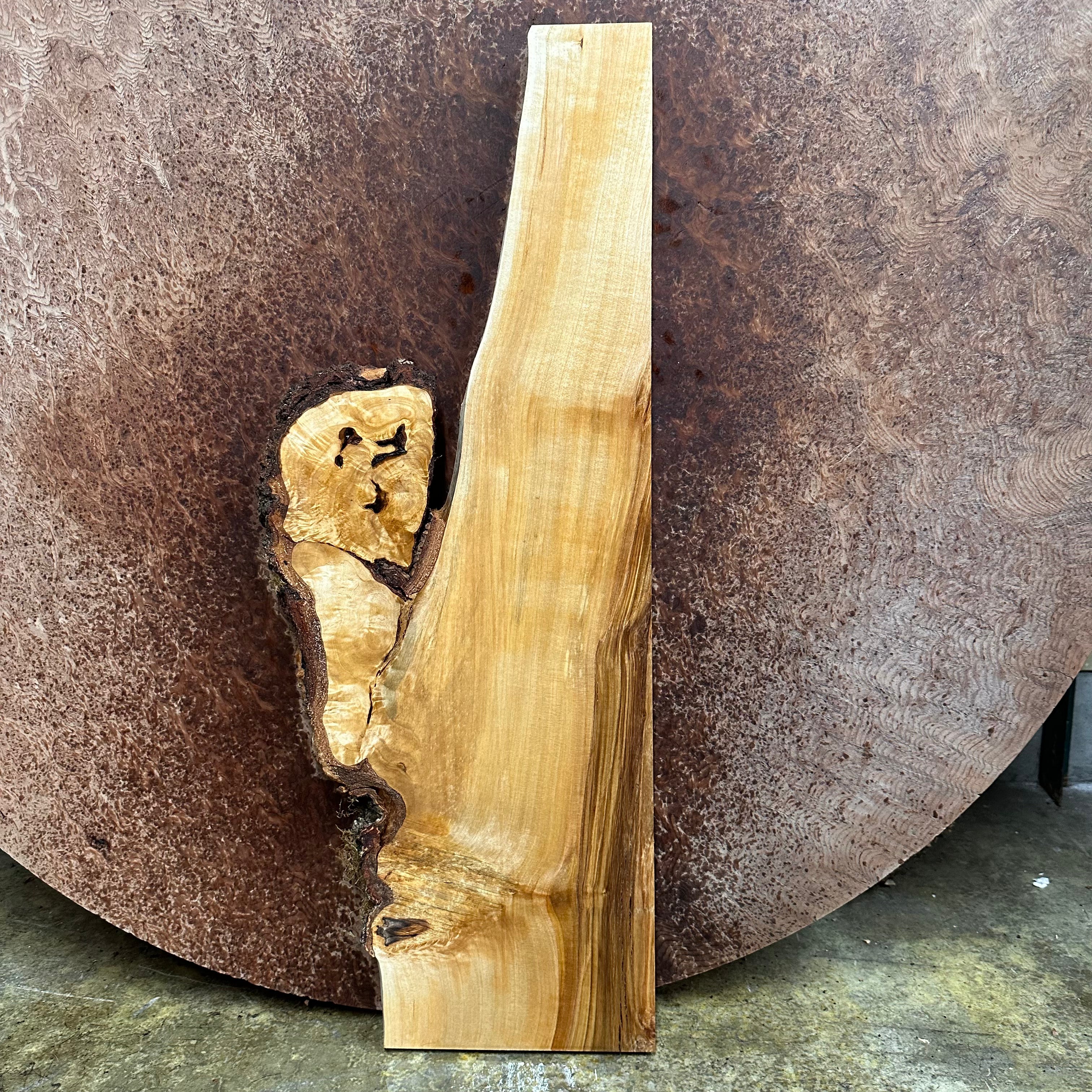 LiveEdge Birch Burl | Birch | Hamilton Lee Supply