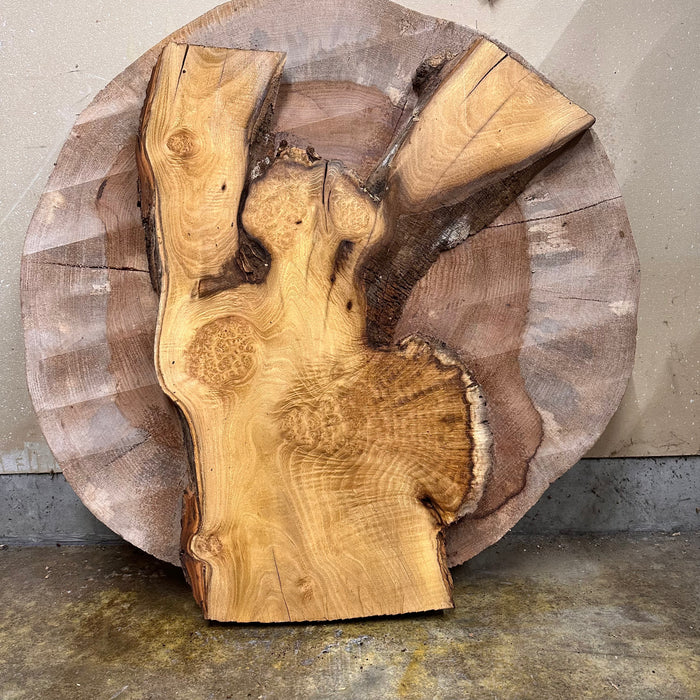 Double Diamond | LiveEdge Black Locust | Black Locust | Hamilton Lee Supply