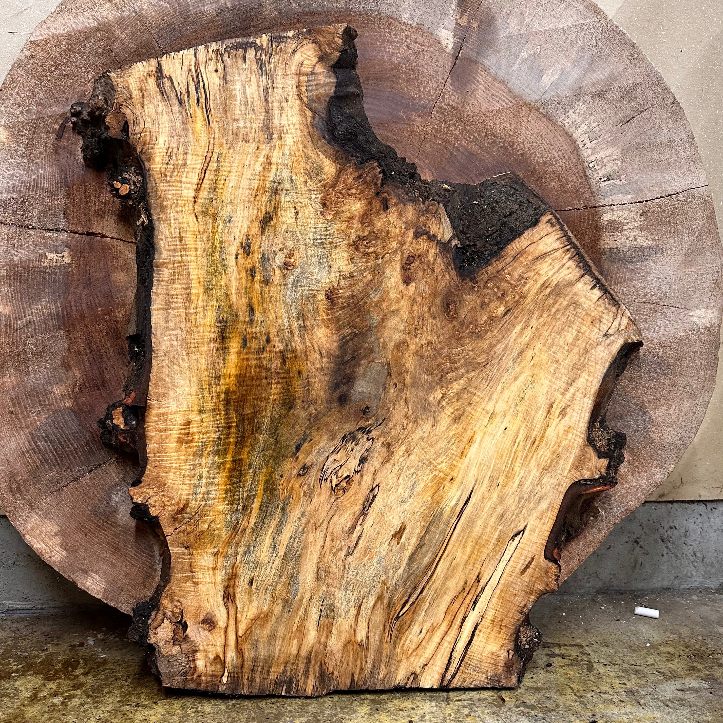 LiveEdge Silver Maple | | Hamilton Lee Supply