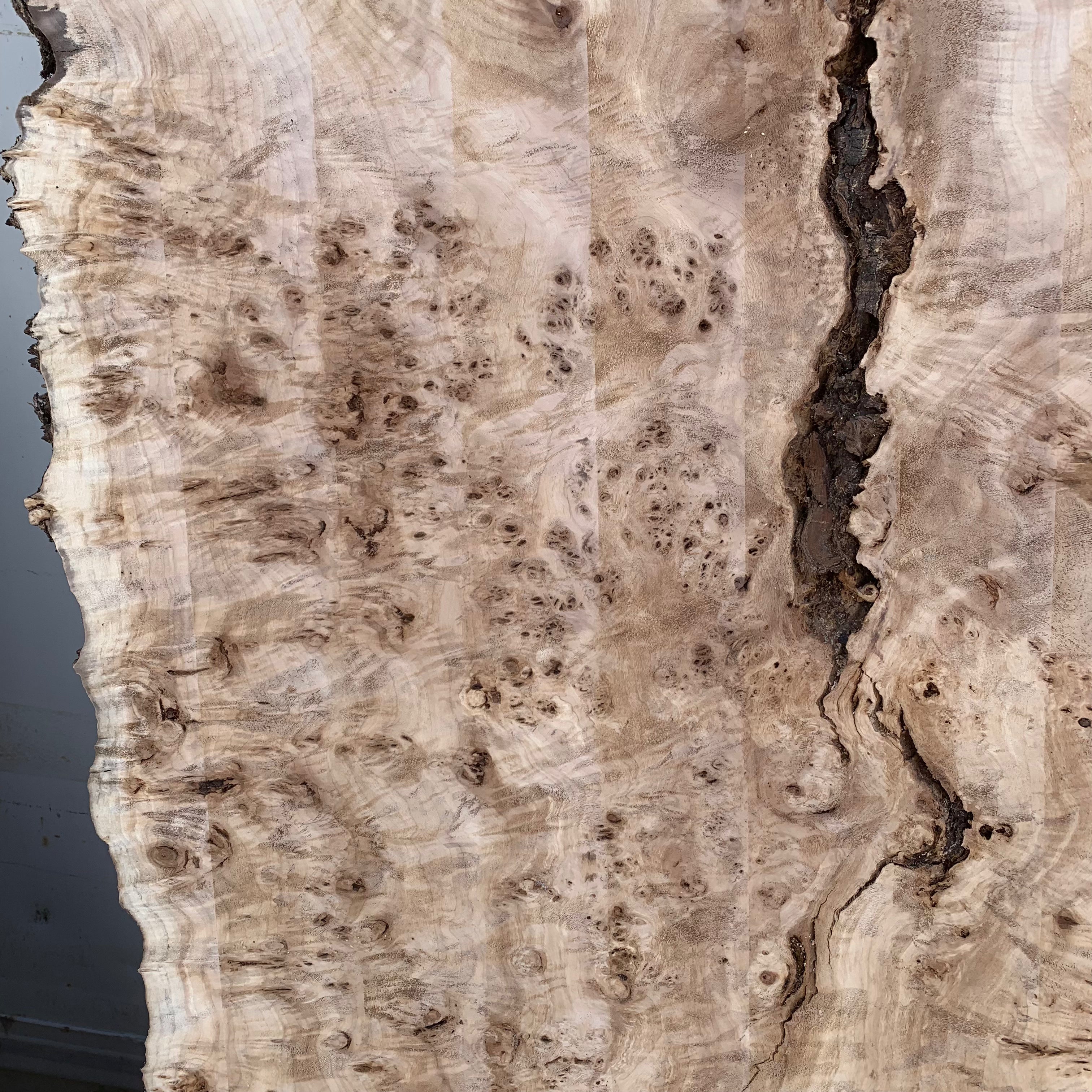 LiveEdge Mappa Burl | Mappa Burl | Hamilton Lee Supply