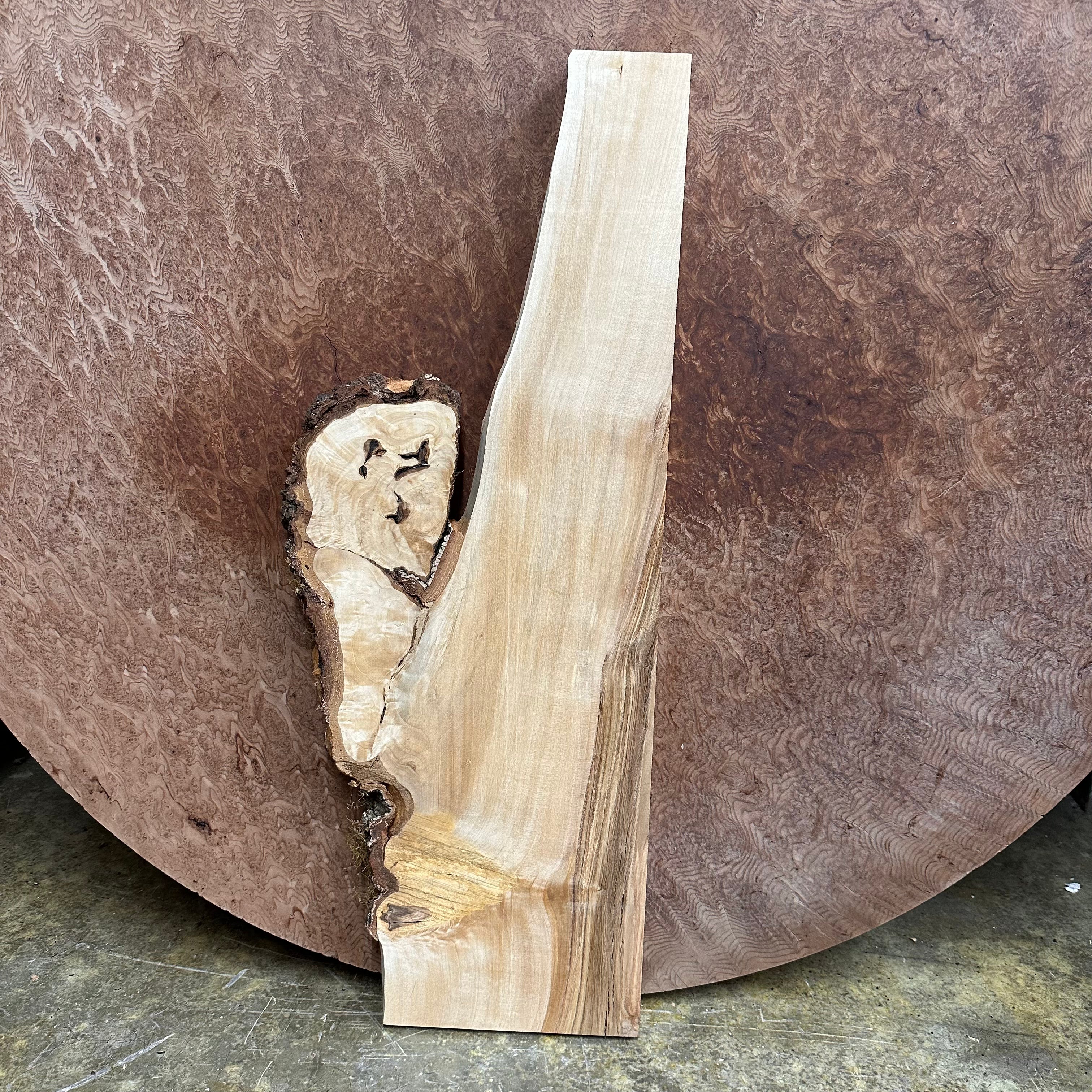 LiveEdge Birch Burl | Birch | Hamilton Lee Supply