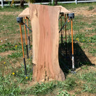 LiveEdge Washington Apple | Craft Wood & Shapes | Hamilton Lee Supply