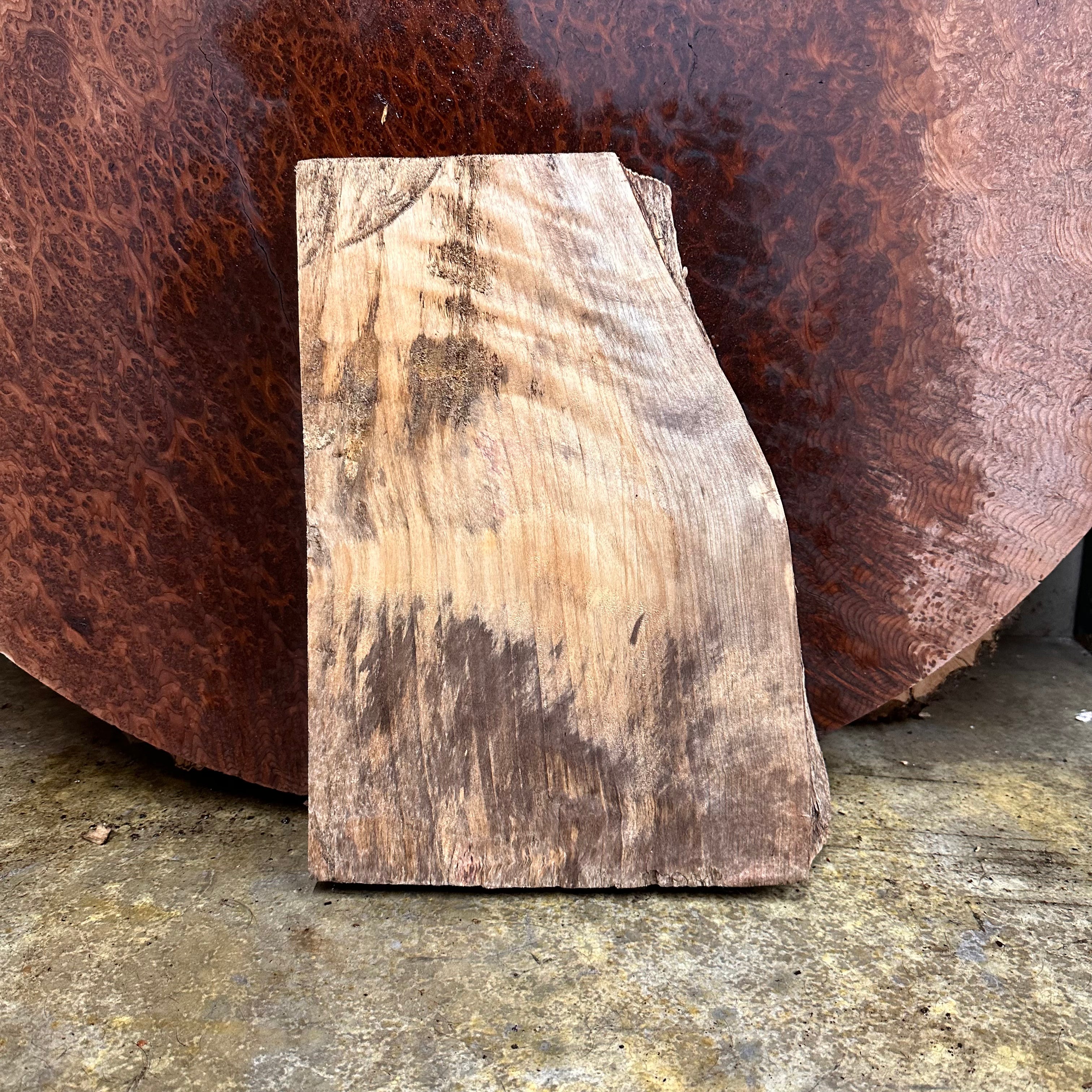 LiveEdge Mappa Burl | | Hamilton Lee Supply