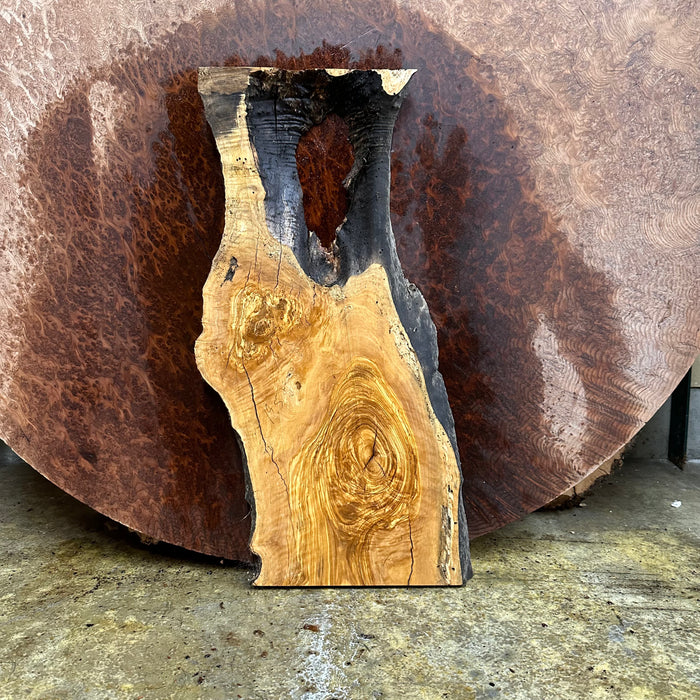 LiveEdge Olive
