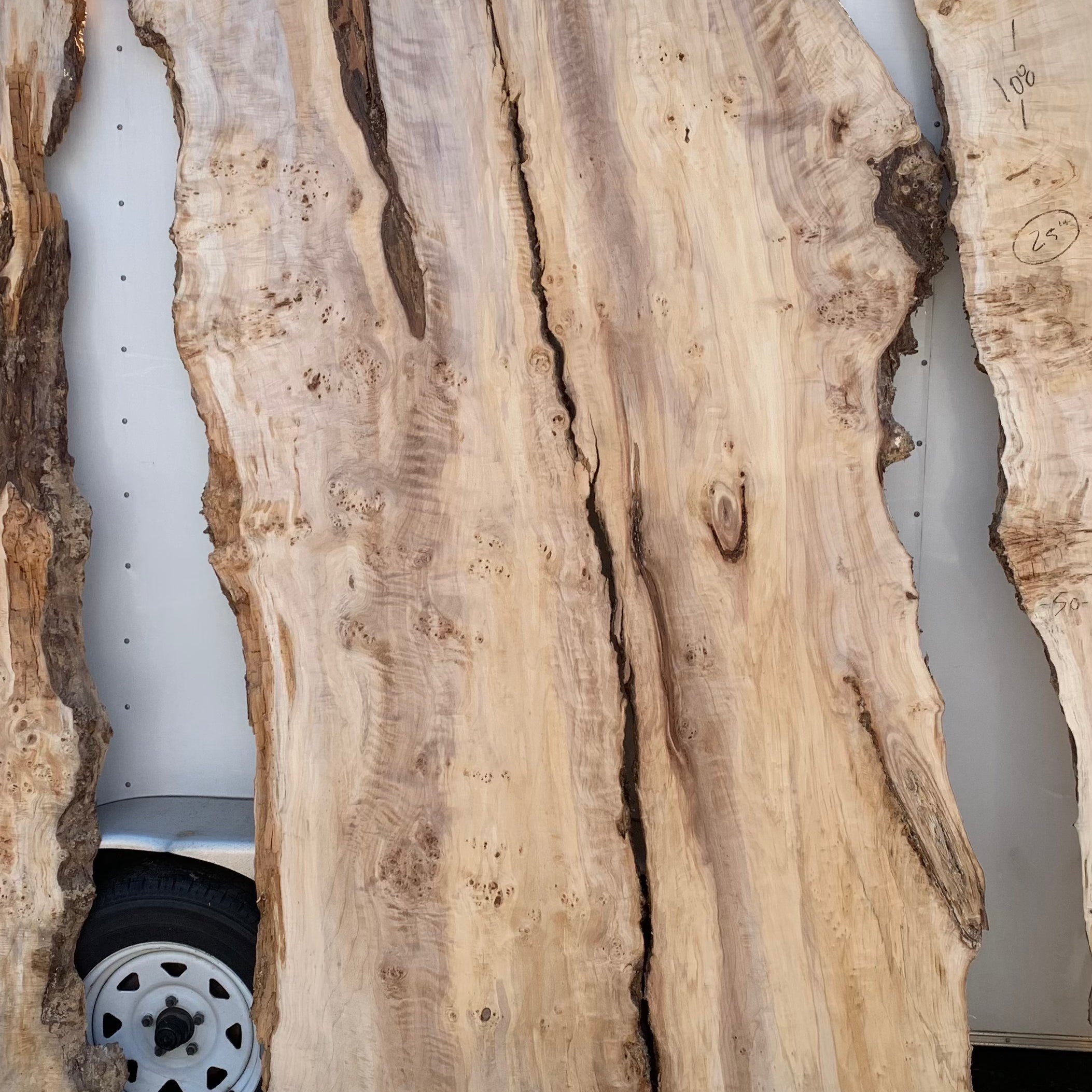 LiveEdge Mappa Burl | Mappa Burl | Hamilton Lee Supply