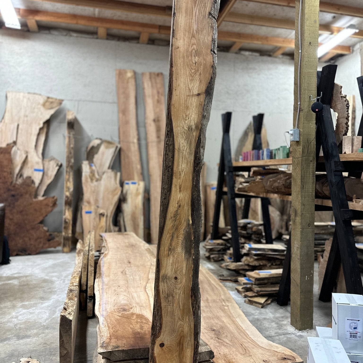 LiveEdge Ash | Ash | Hamilton Lee Supply