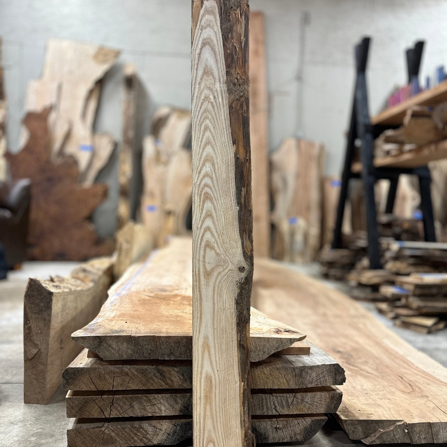 LiveEdge Ash | Ash | Hamilton Lee Supply