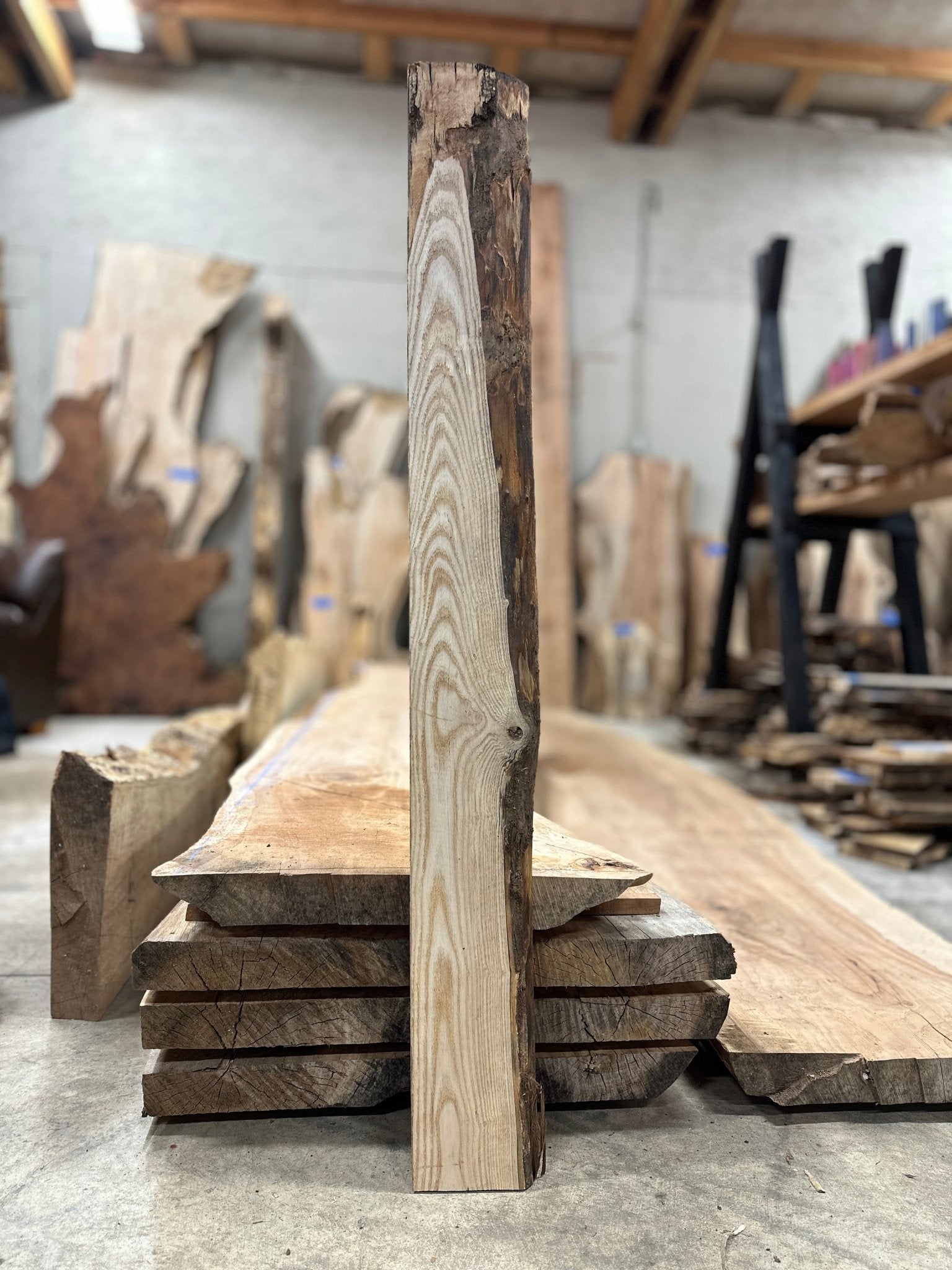 LiveEdge Ash | Ash | Hamilton Lee Supply