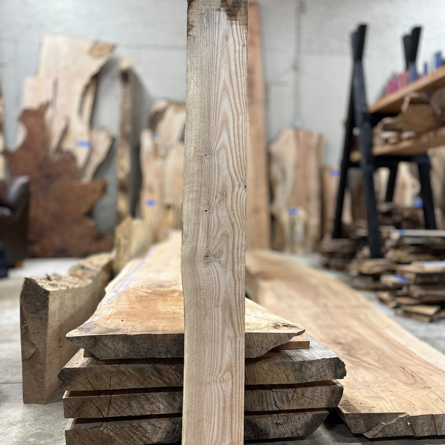 LiveEdge Ash | Ash | Hamilton Lee Supply