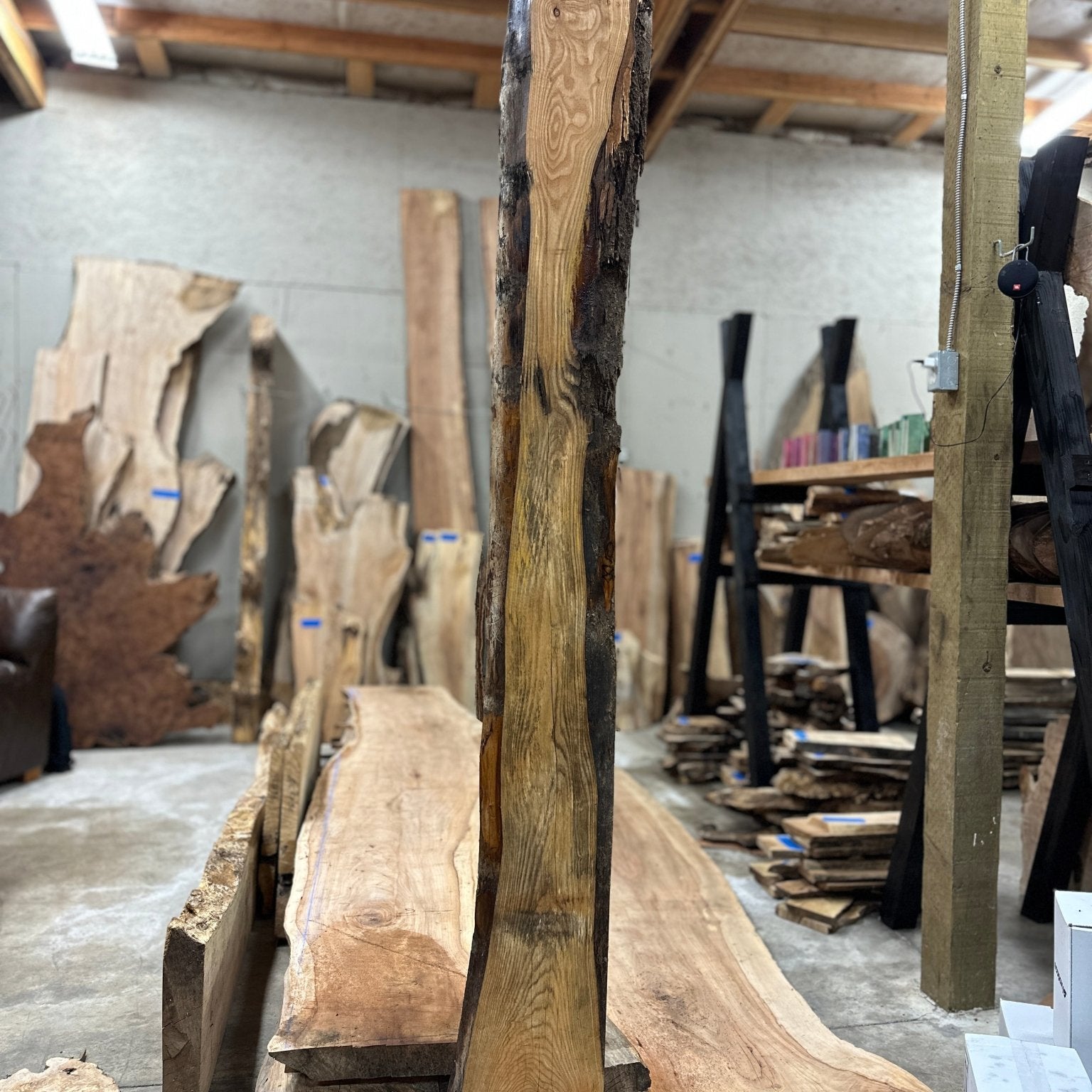 LiveEdge Ash | Ash | Hamilton Lee Supply