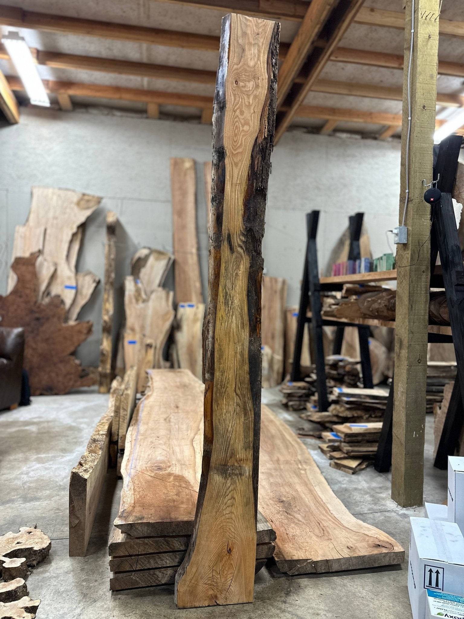 LiveEdge Ash | Ash | Hamilton Lee Supply