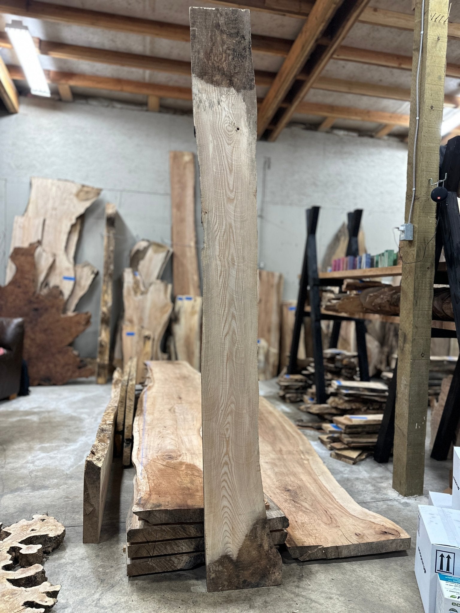LiveEdge Ash | Ash | Hamilton Lee Supply