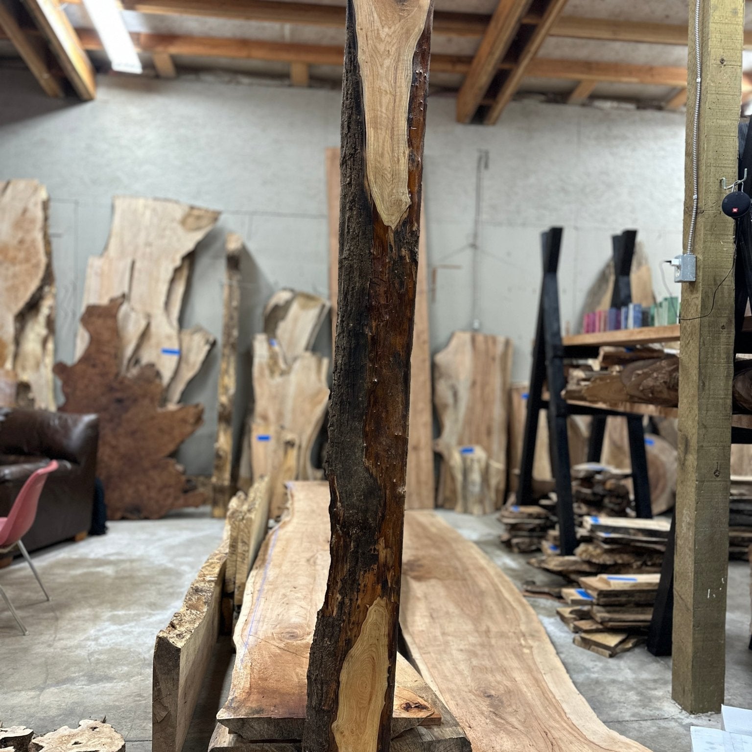 LiveEdge Ash | Ash | Hamilton Lee Supply
