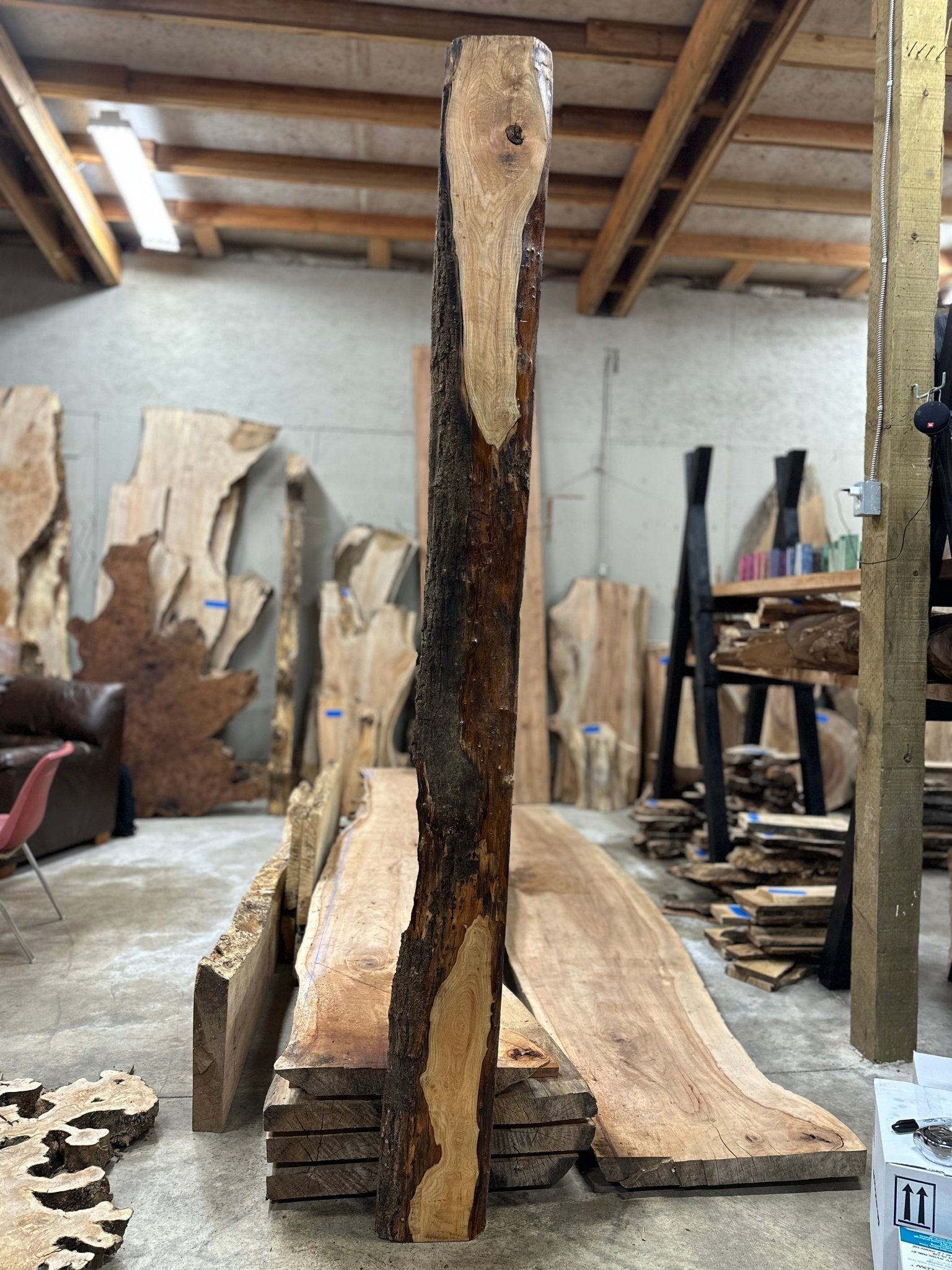 LiveEdge Ash | Ash | Hamilton Lee Supply