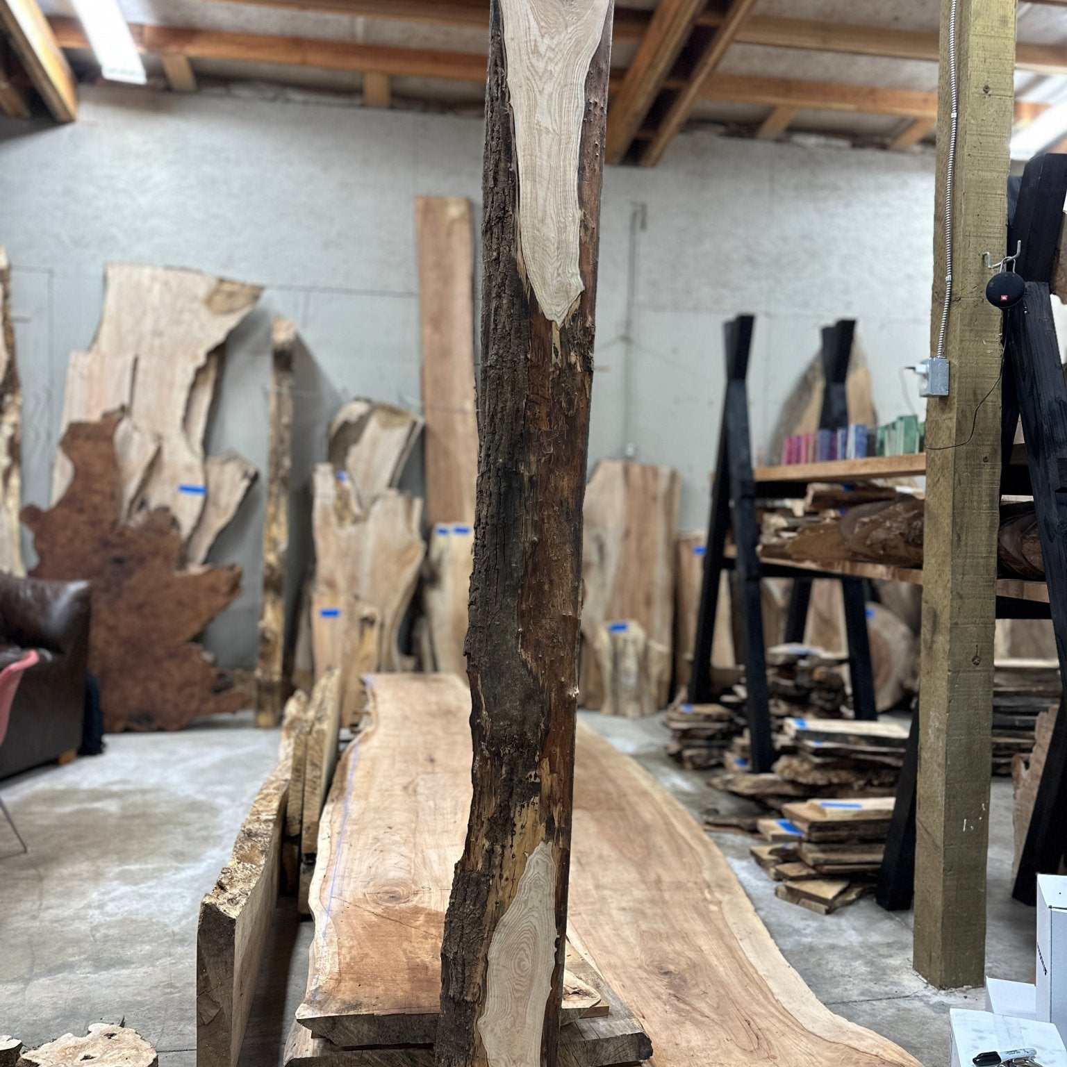 LiveEdge Ash | Ash | Hamilton Lee Supply