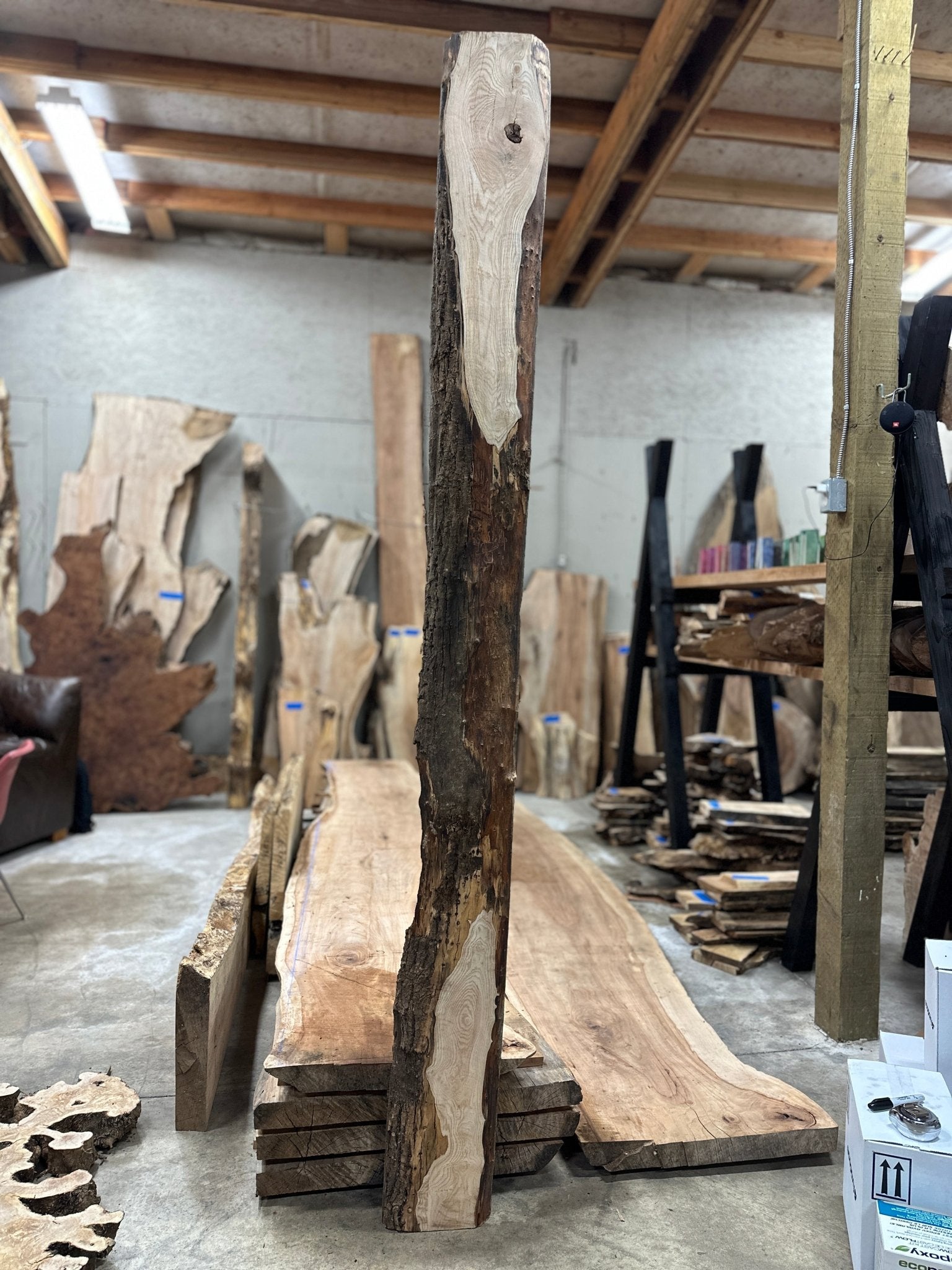 LiveEdge Ash | Ash | Hamilton Lee Supply