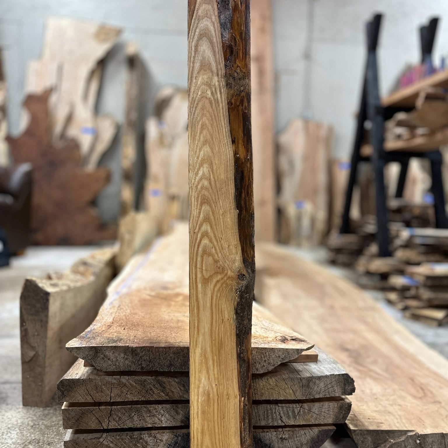 LiveEdge Ash | Ash | Hamilton Lee Supply