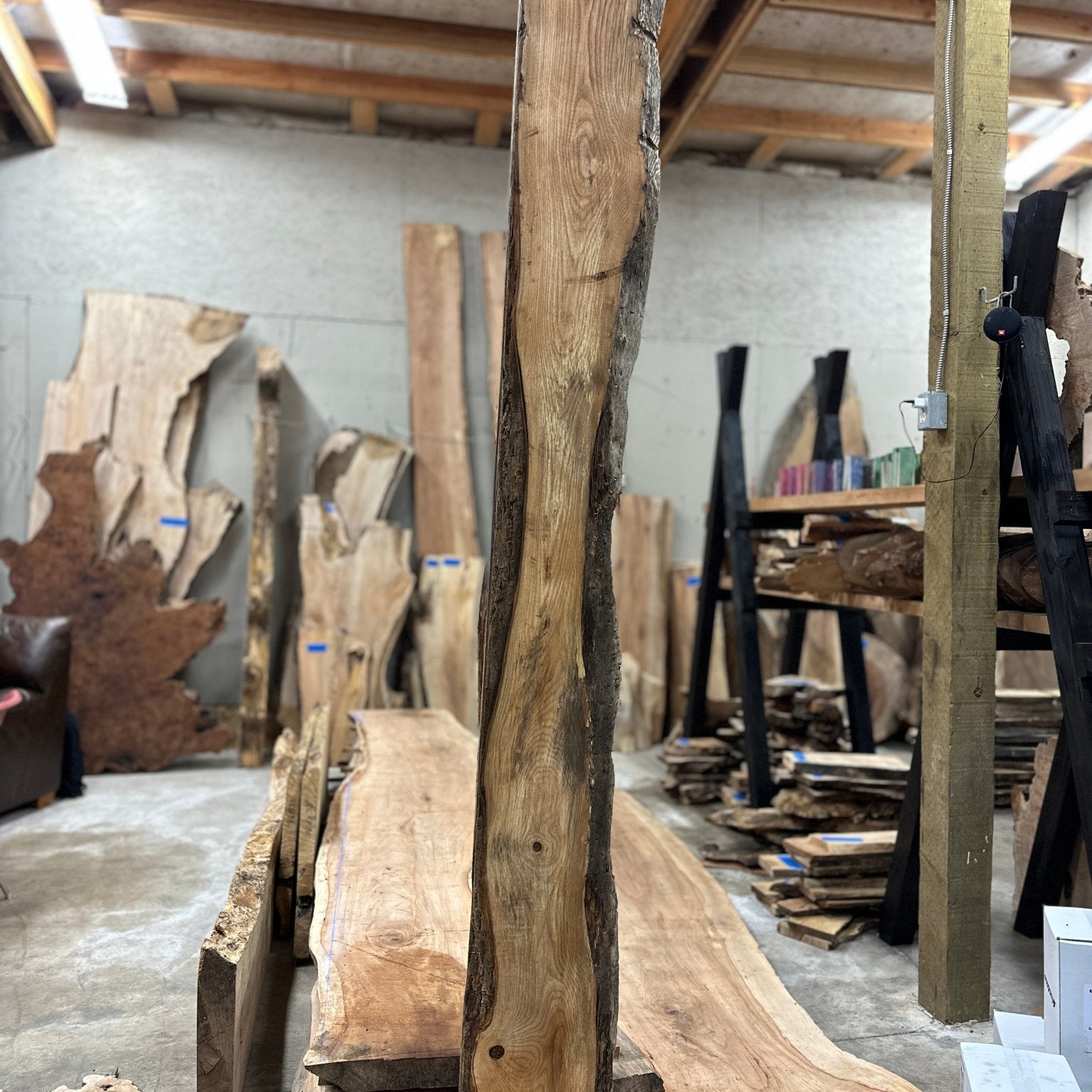 LiveEdge Ash | Ash | Hamilton Lee Supply
