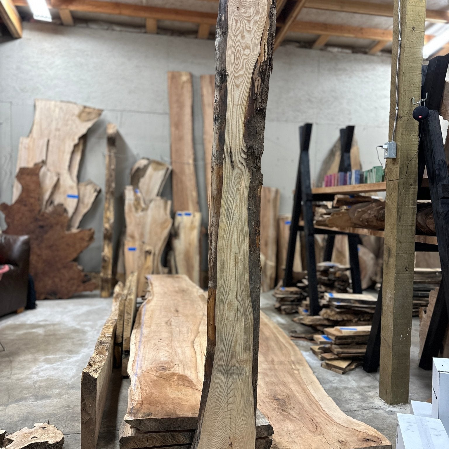 LiveEdge Ash | Ash | Hamilton Lee Supply
