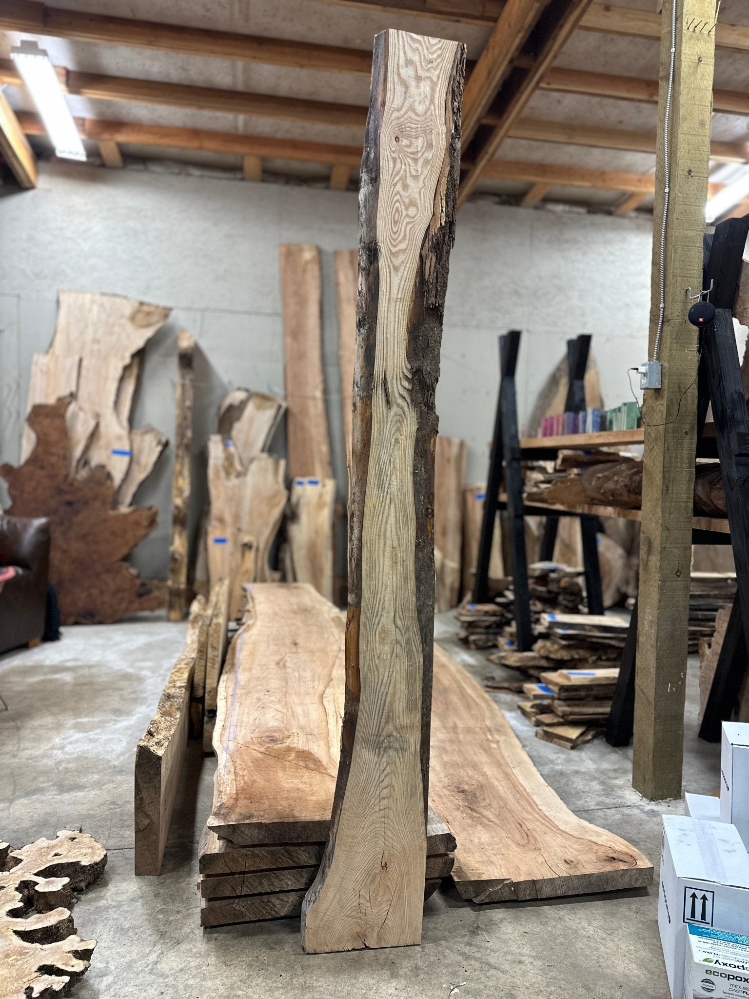 LiveEdge Ash | Ash | Hamilton Lee Supply