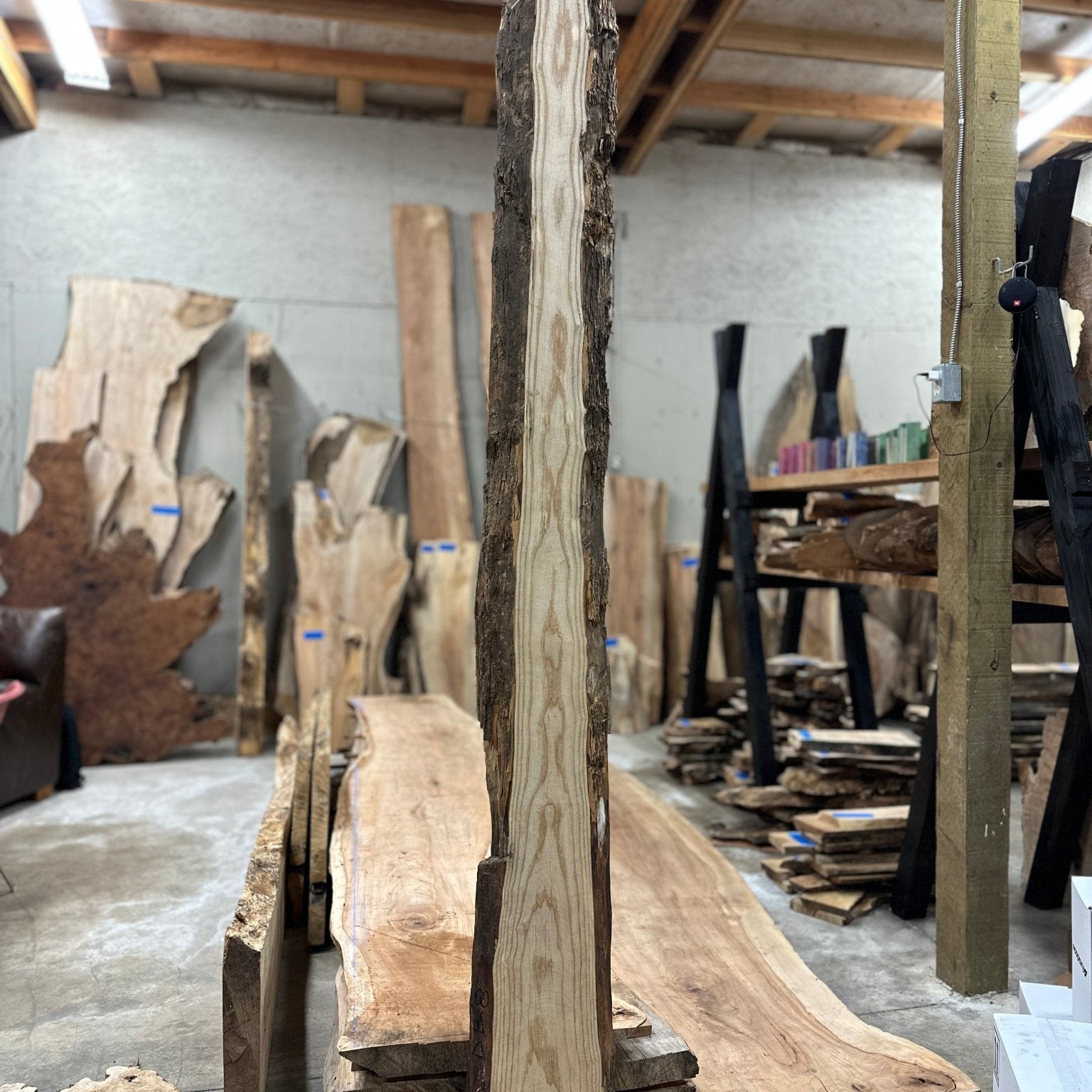 LiveEdge Ash | Ash | Hamilton Lee Supply
