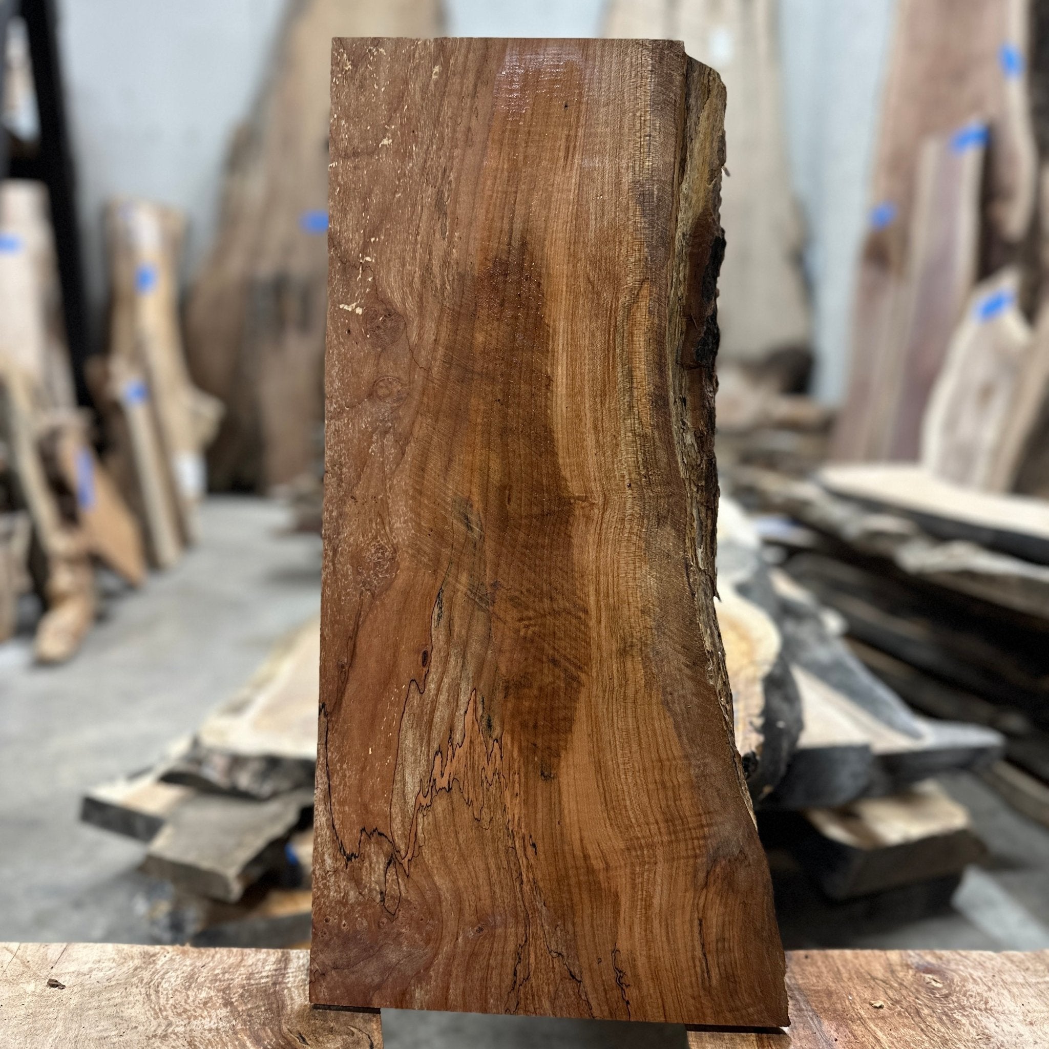 LiveEdge Big Leaf Maple | Big Leaf Maple | Hamilton Lee Supply