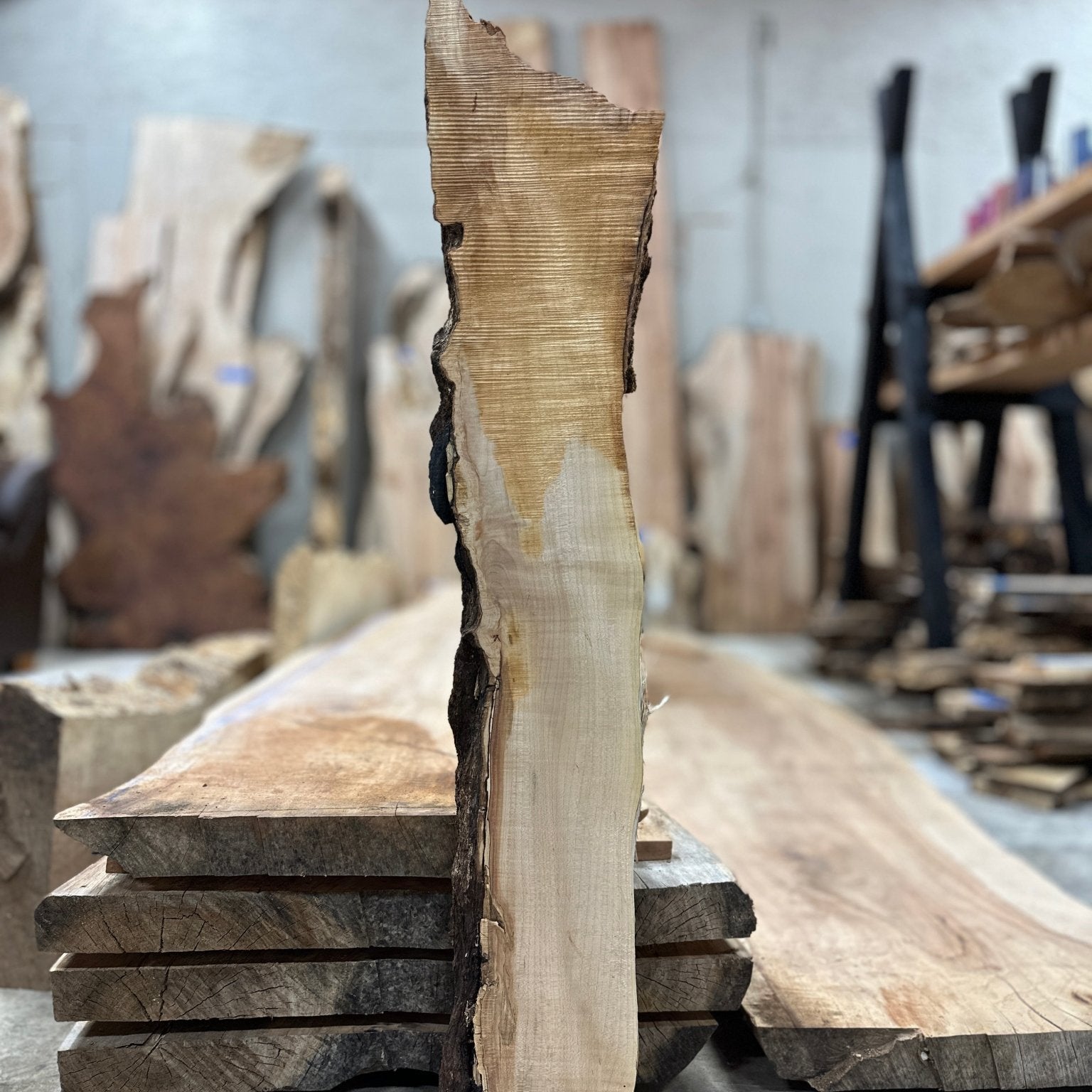 LiveEdge Big Leaf Maple | Big Leaf Maple | Hamilton Lee Supply