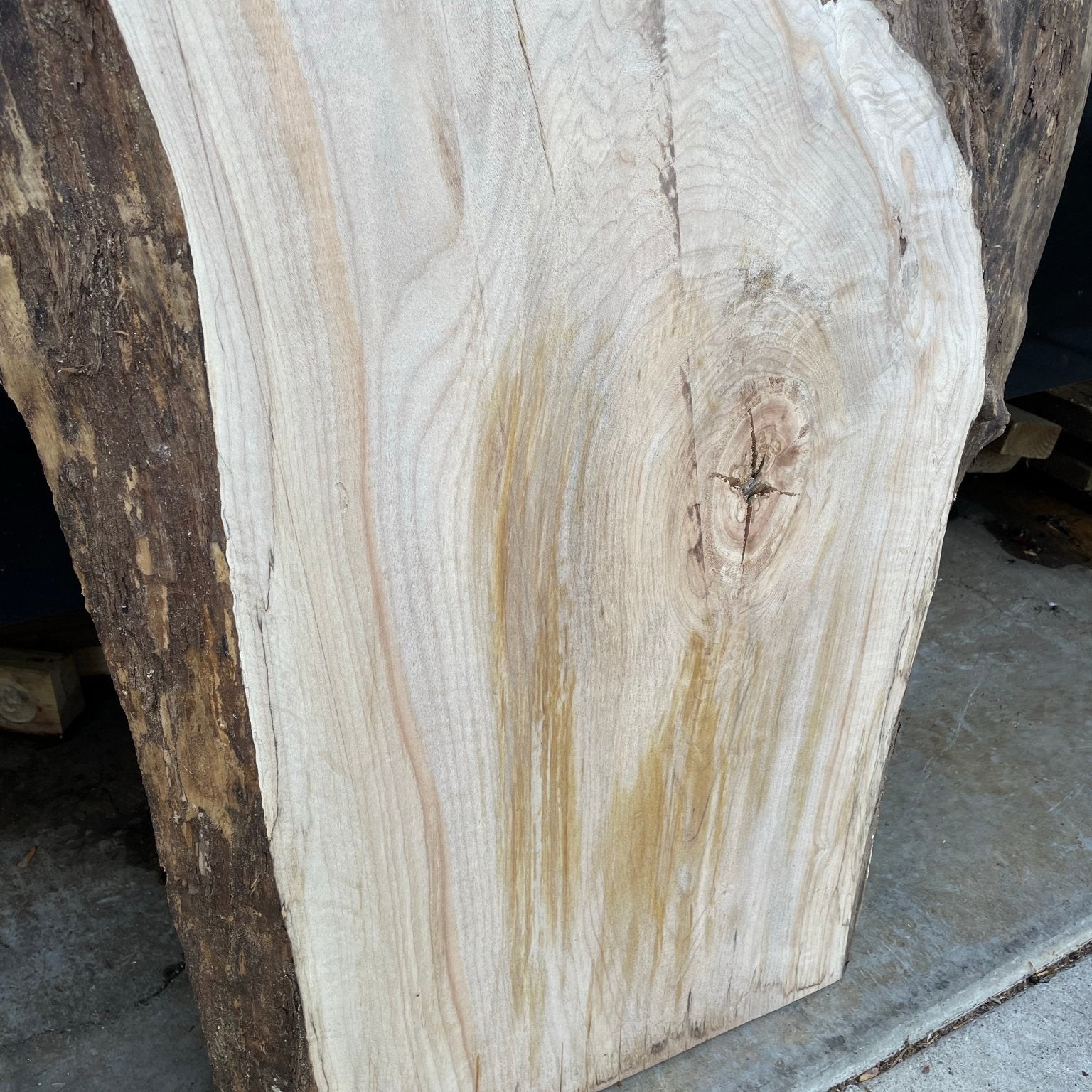 LiveEdge Big Leaf Maple | Craft Wood & Shapes | Hamilton Lee Supply
