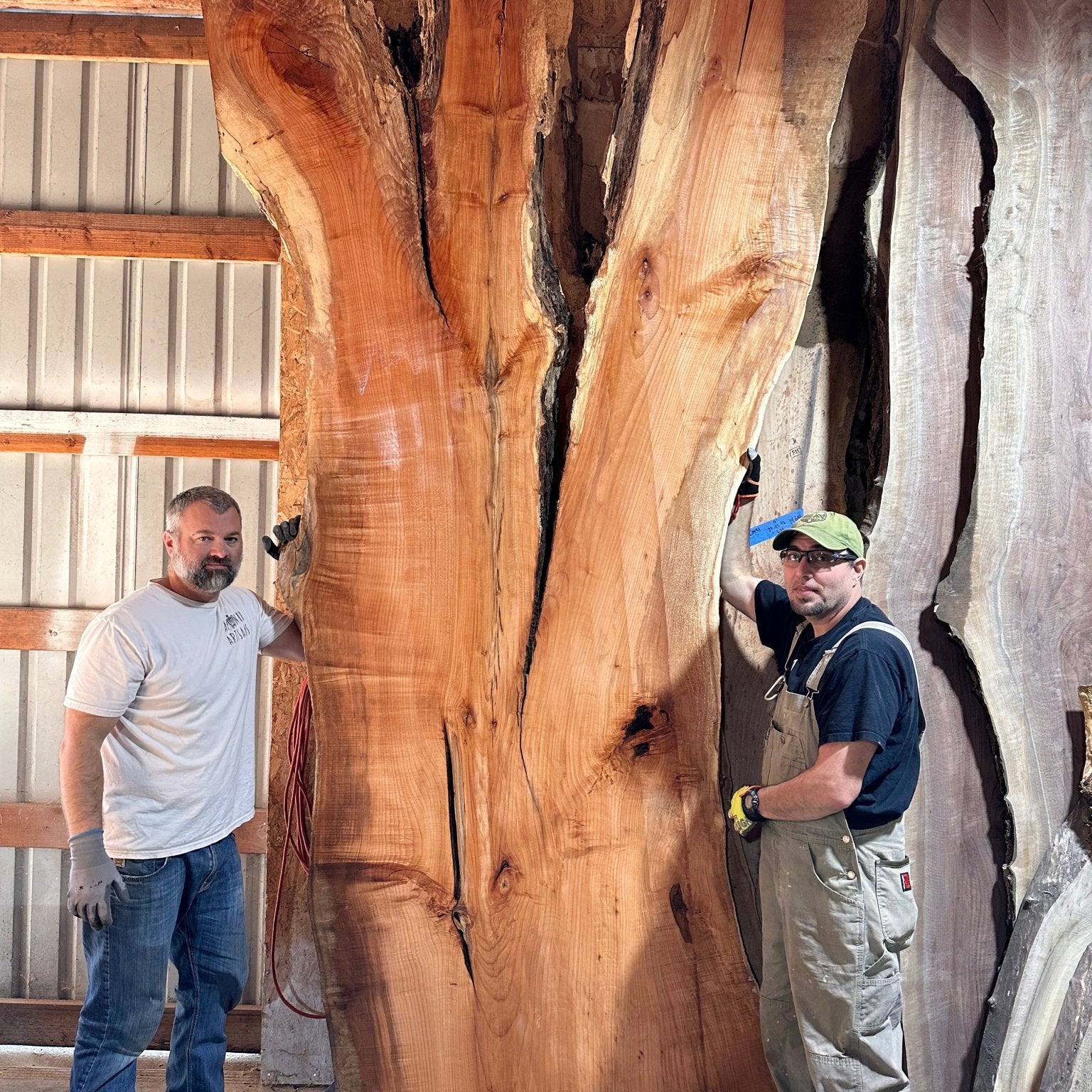 LiveEdge Big Leaf Maple | Big Leaf Maple | Hamilton Lee Supply