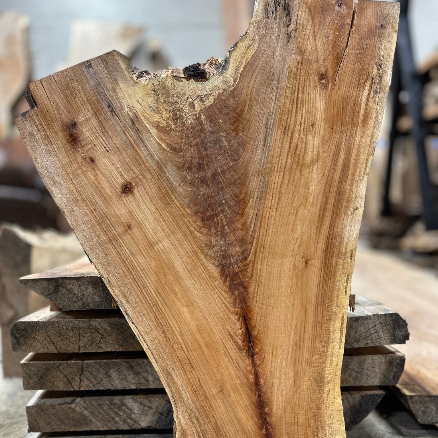 LiveEdge Big Leaf Maple | Big Leaf Maple | Hamilton Lee Supply