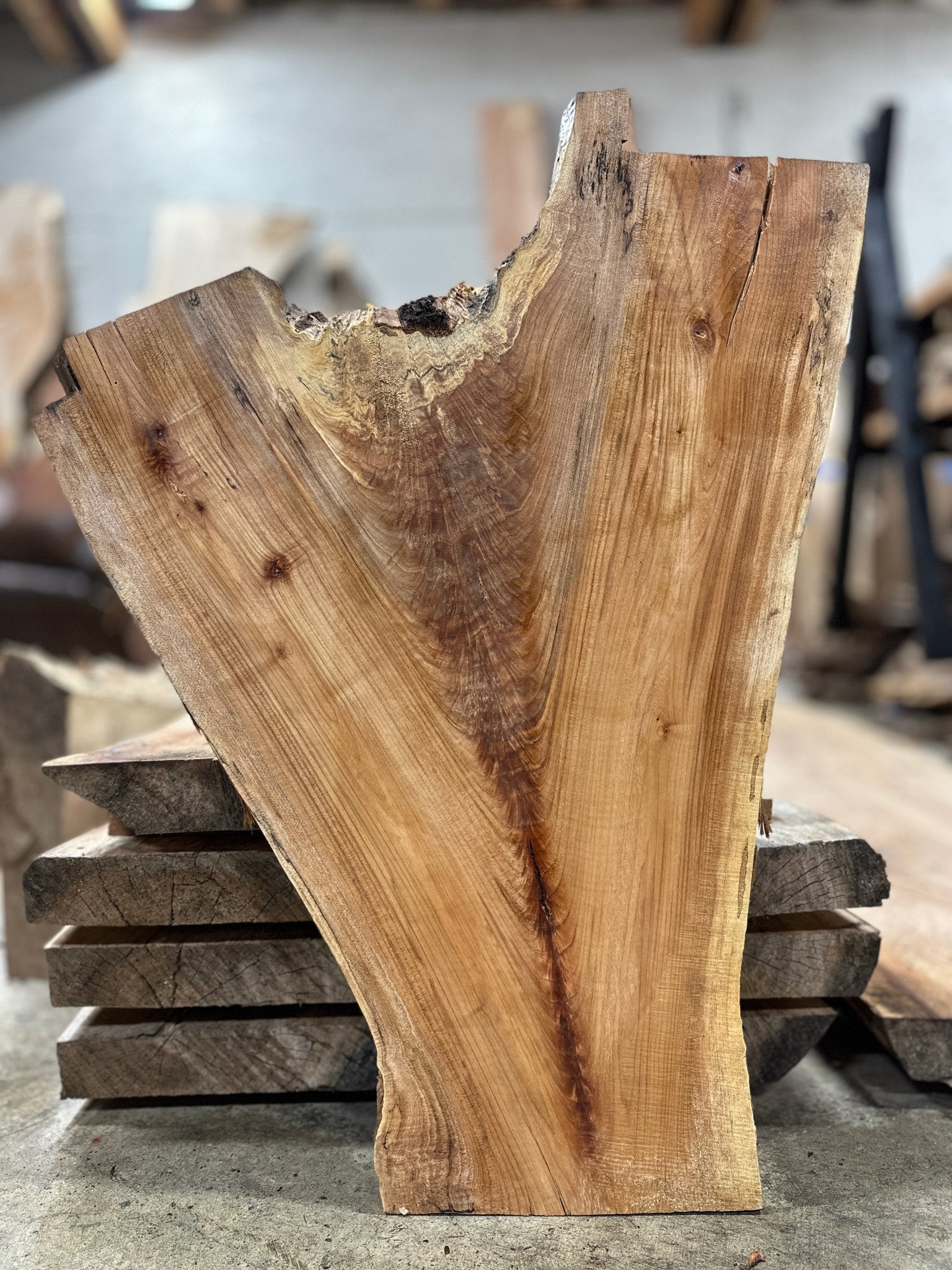LiveEdge Big Leaf Maple | Big Leaf Maple | Hamilton Lee Supply