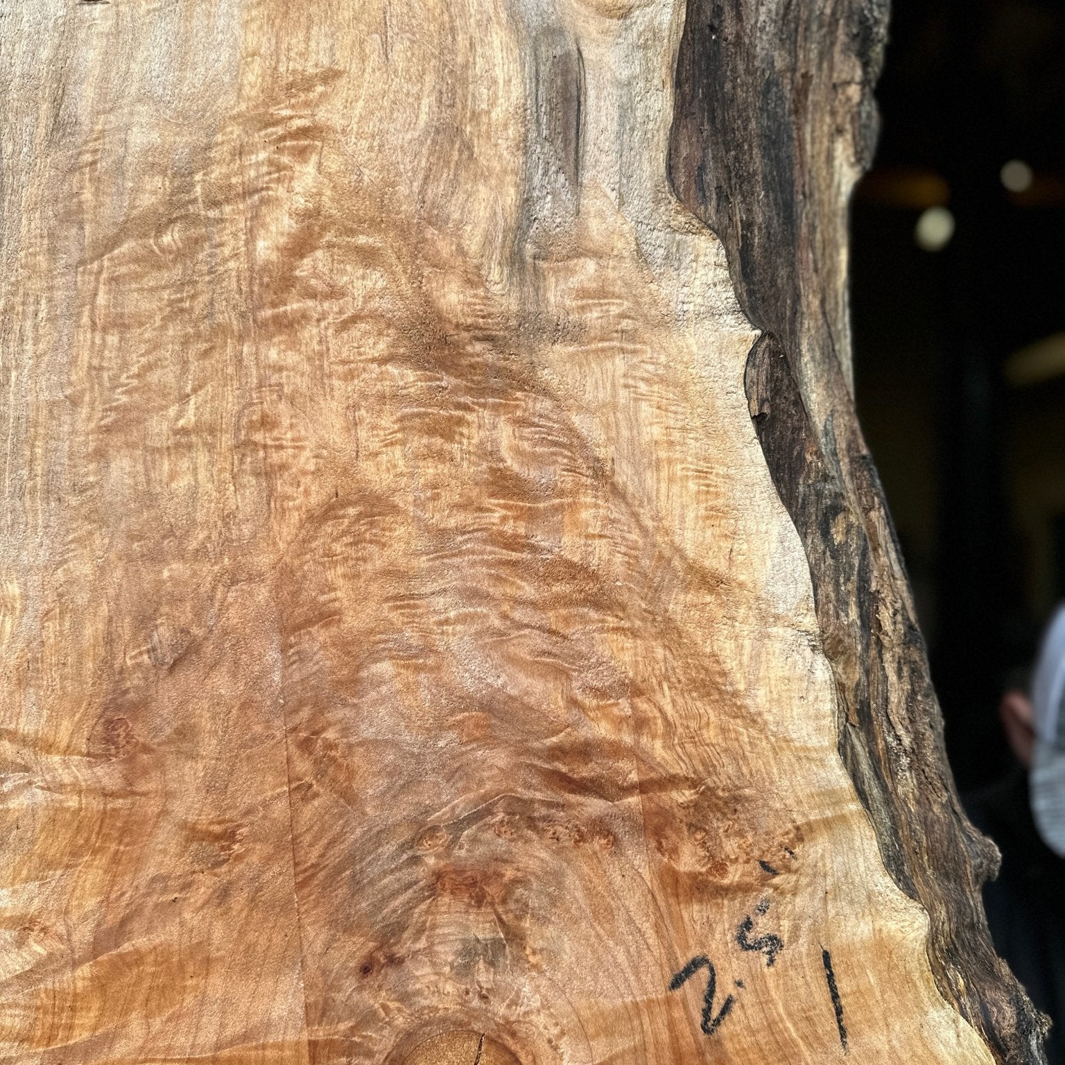 LiveEdge Big Leaf Maple | Big Leaf Maple | Hamilton Lee Supply
