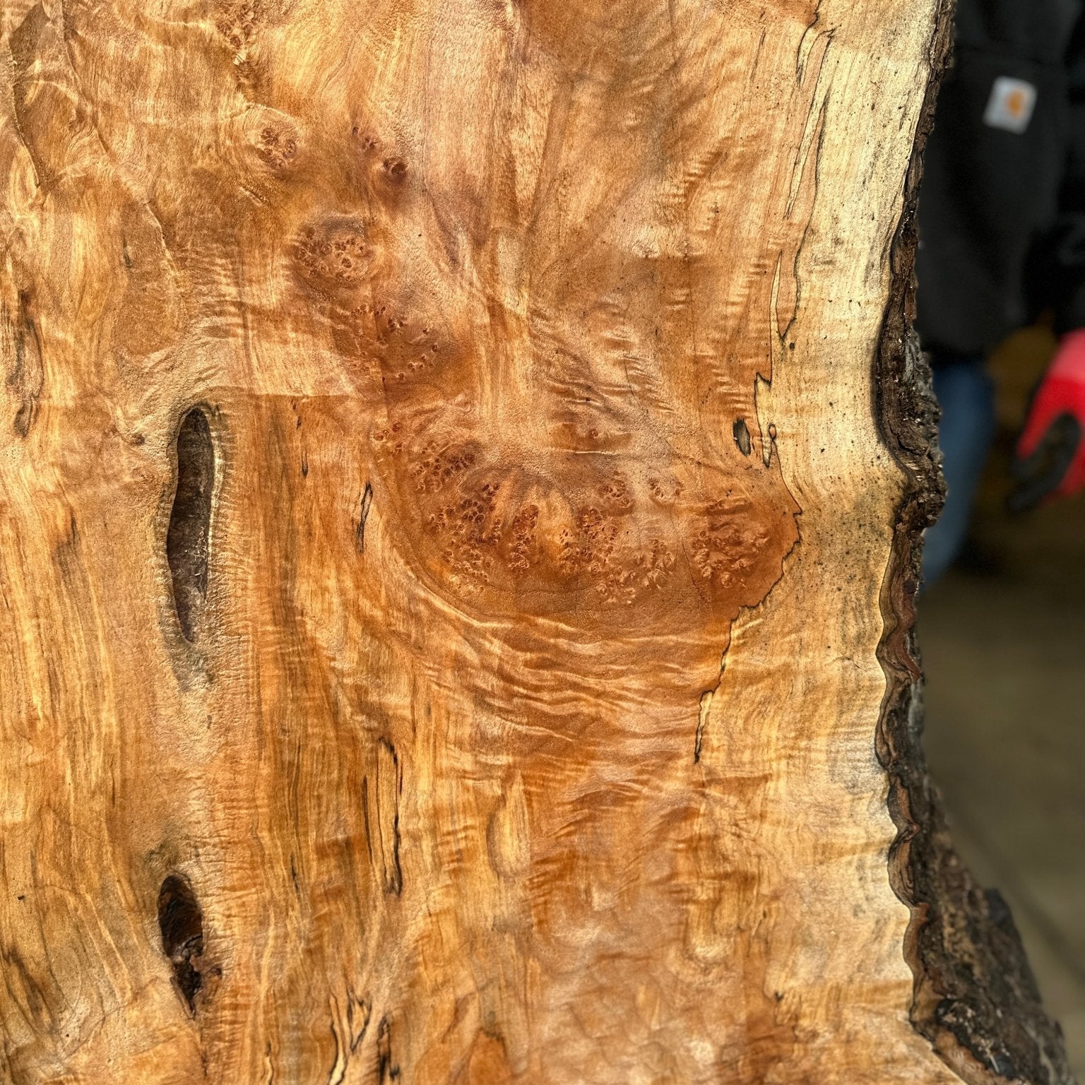 LiveEdge Big Leaf Maple | Big Leaf Maple | Hamilton Lee Supply