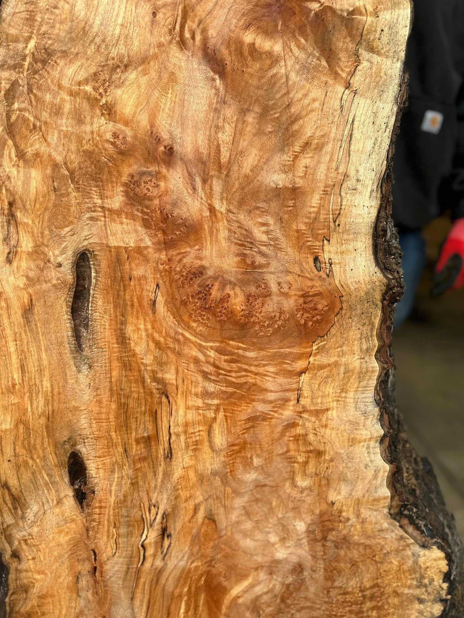 LiveEdge Big Leaf Maple | Big Leaf Maple | Hamilton Lee Supply