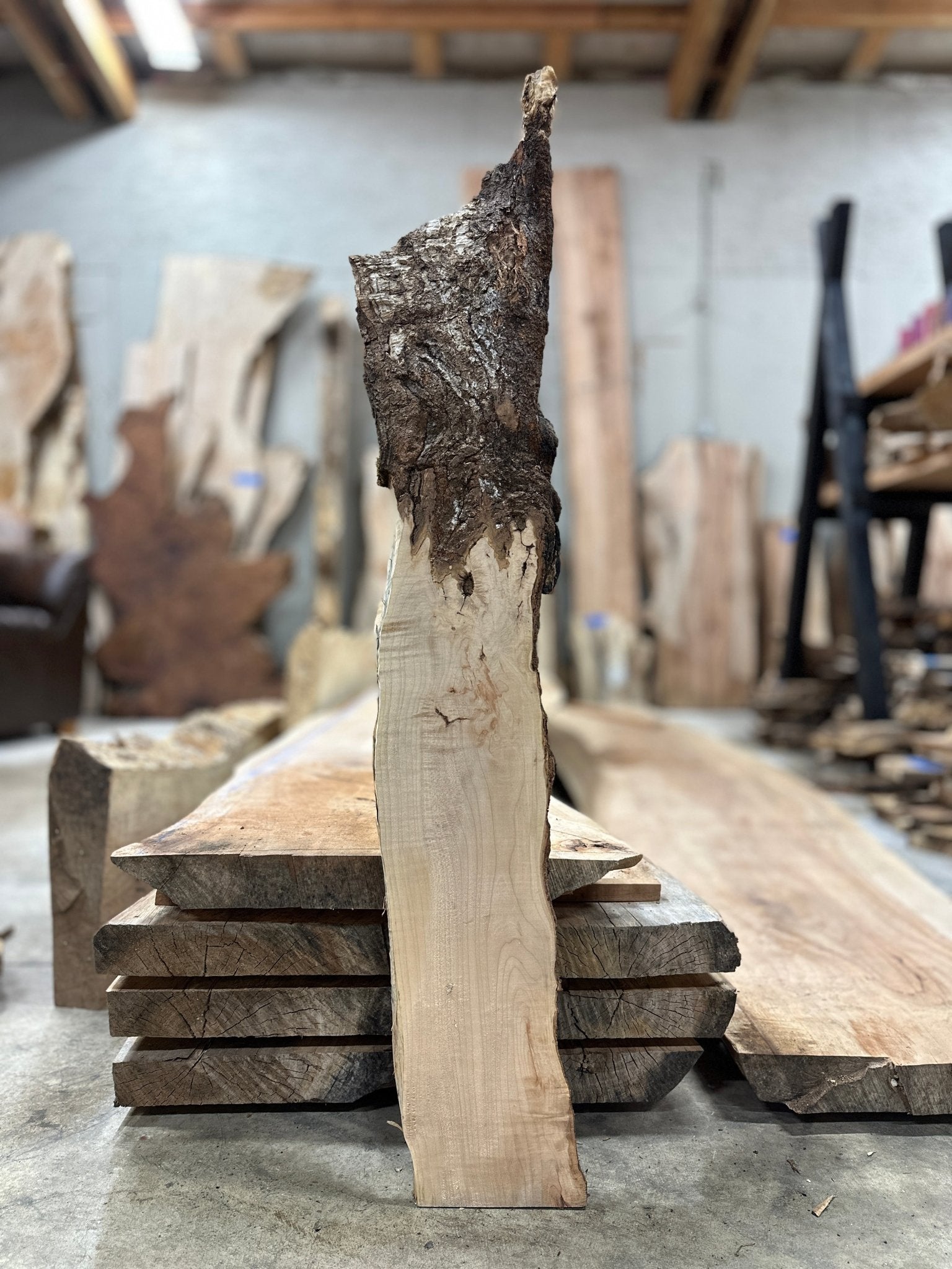 LiveEdge Big Leaf Maple | Big Leaf Maple | Hamilton Lee Supply