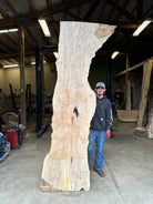 LiveEdge Big Leaf Maple | Big Leaf Maple | Hamilton Lee Supply