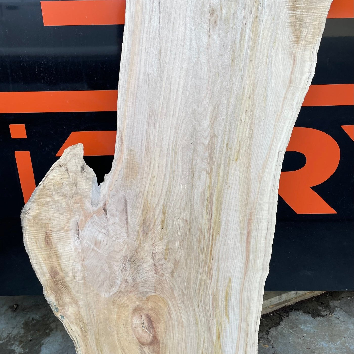 LiveEdge Big Leaf Maple | Craft Wood & Shapes | Hamilton Lee Supply