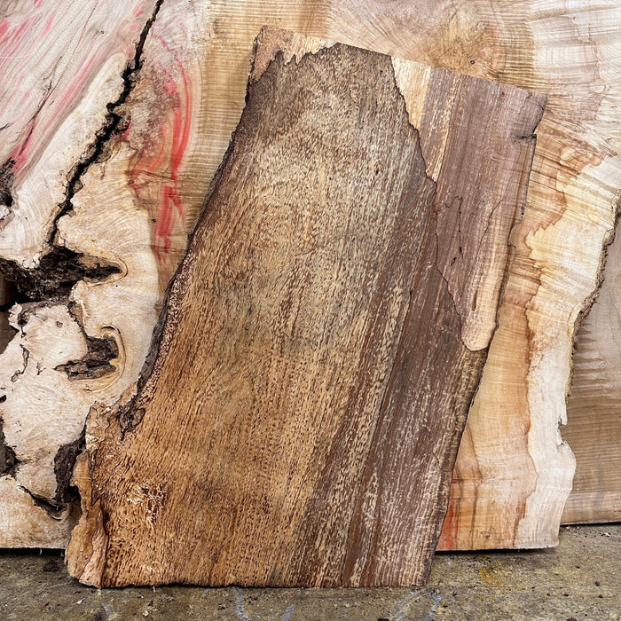 Double Diamond | LiveEdge Big Leaf Maple | Big Leaf Maple | Hamilton Lee Supply