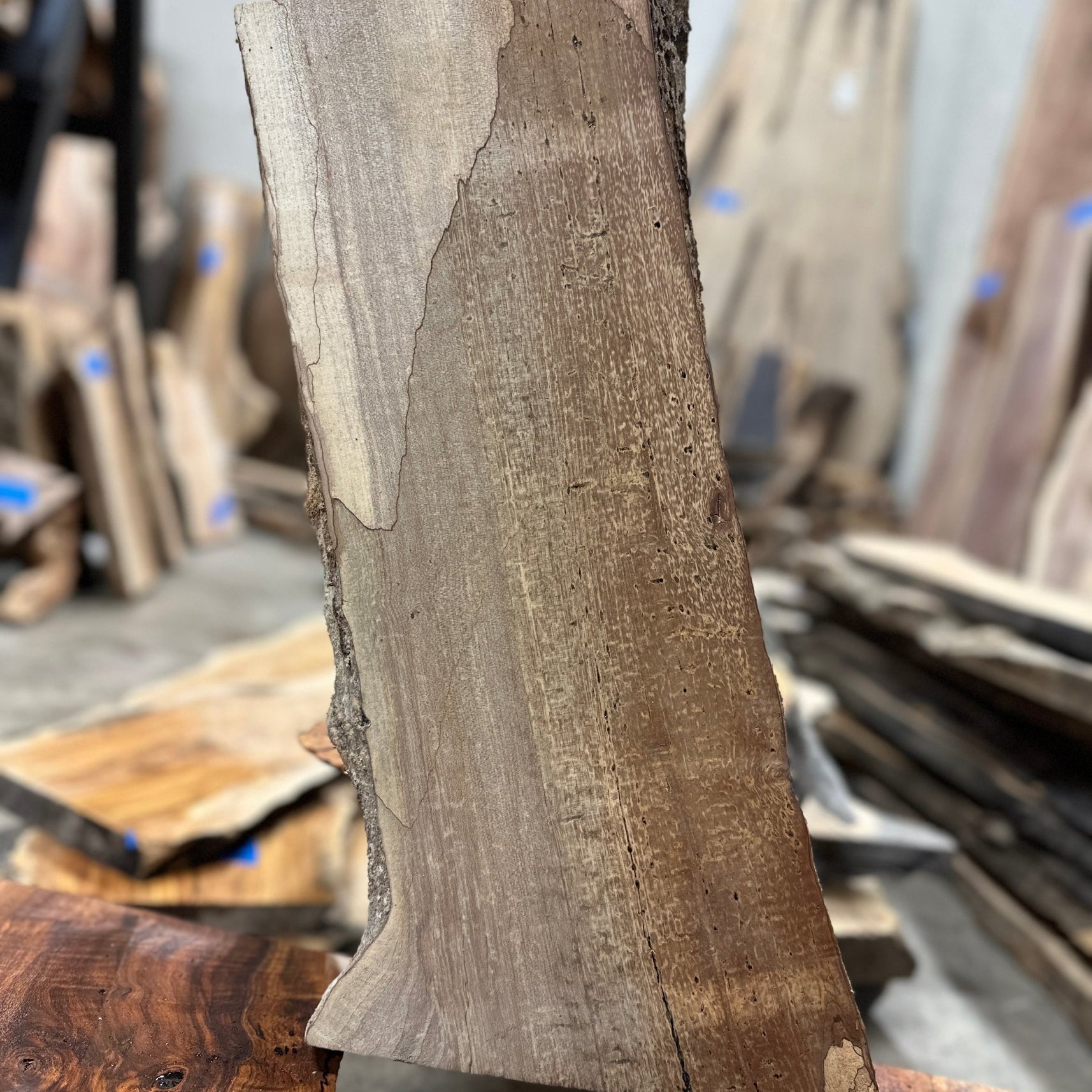 LiveEdge Big Leaf Maple | Big Leaf Maple | Hamilton Lee Supply