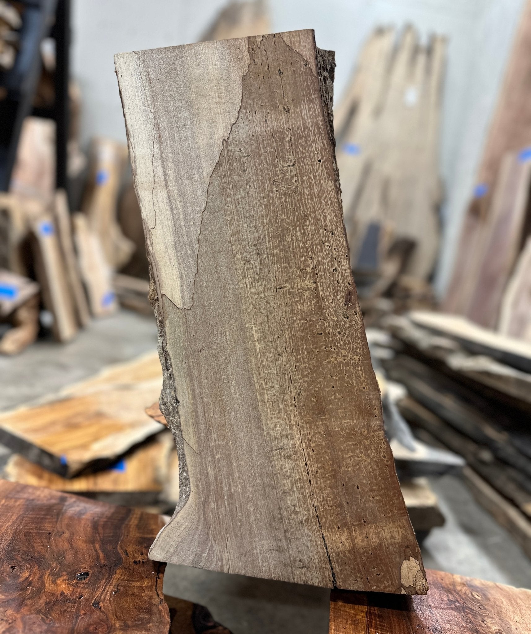 LiveEdge Big Leaf Maple | Big Leaf Maple | Hamilton Lee Supply