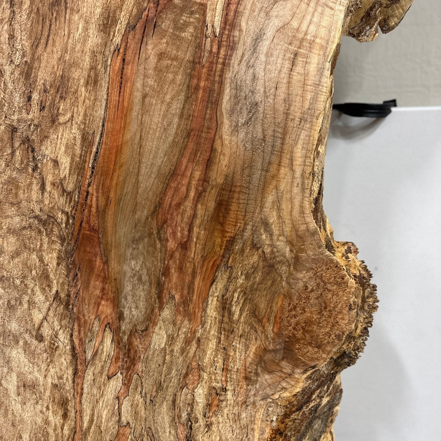 LiveEdge Big Leaf Maple | Big Leaf Maple | Hamilton Lee Supply