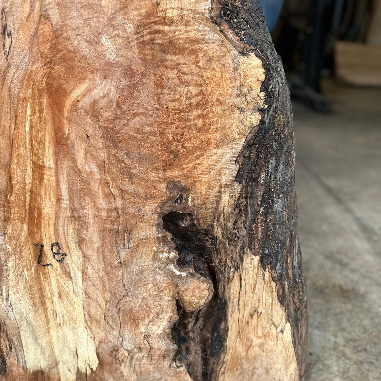 LiveEdge Big Leaf Maple | Big Leaf Maple | Hamilton Lee Supply