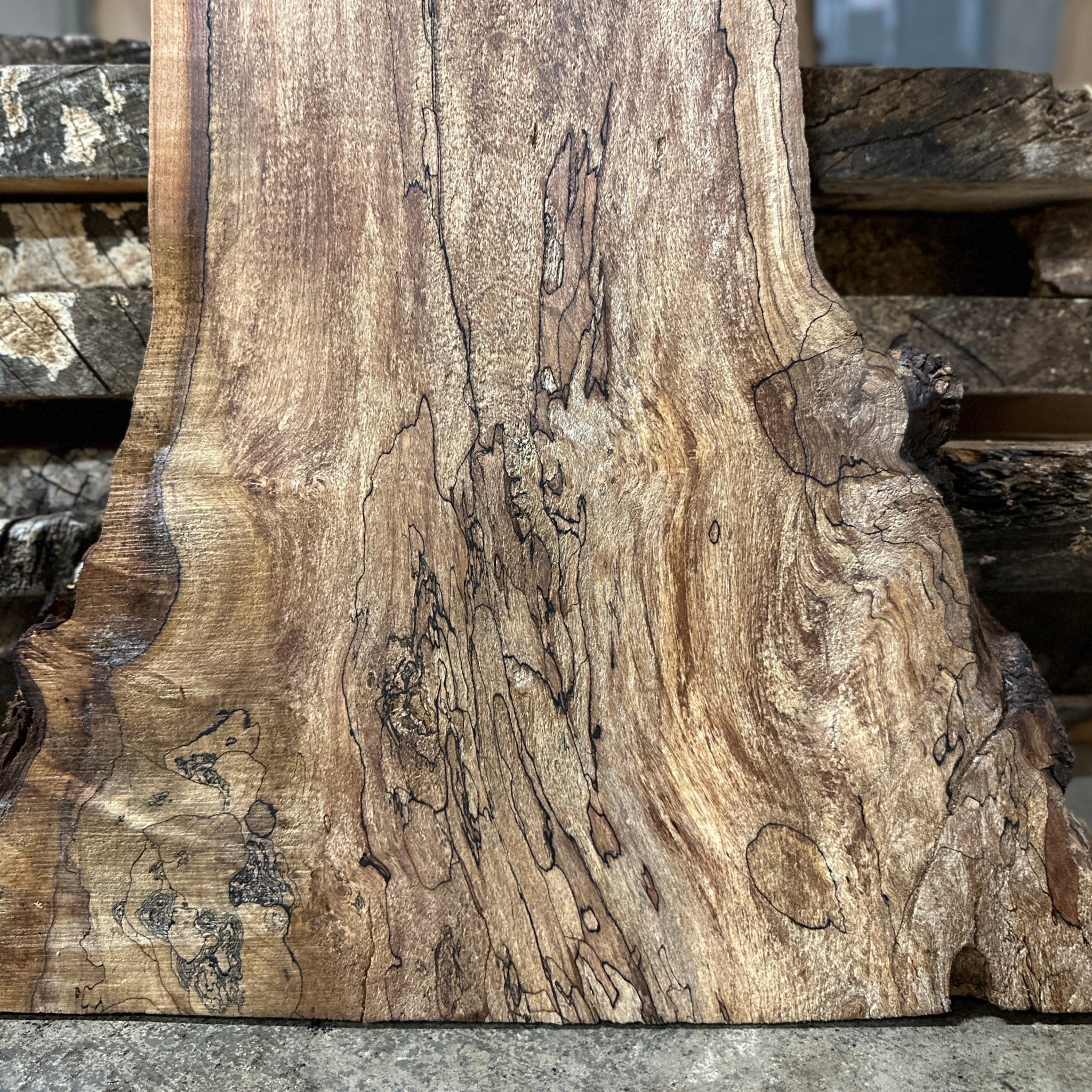 LiveEdge Big Leaf Maple | Big Leaf Maple | Hamilton Lee Supply