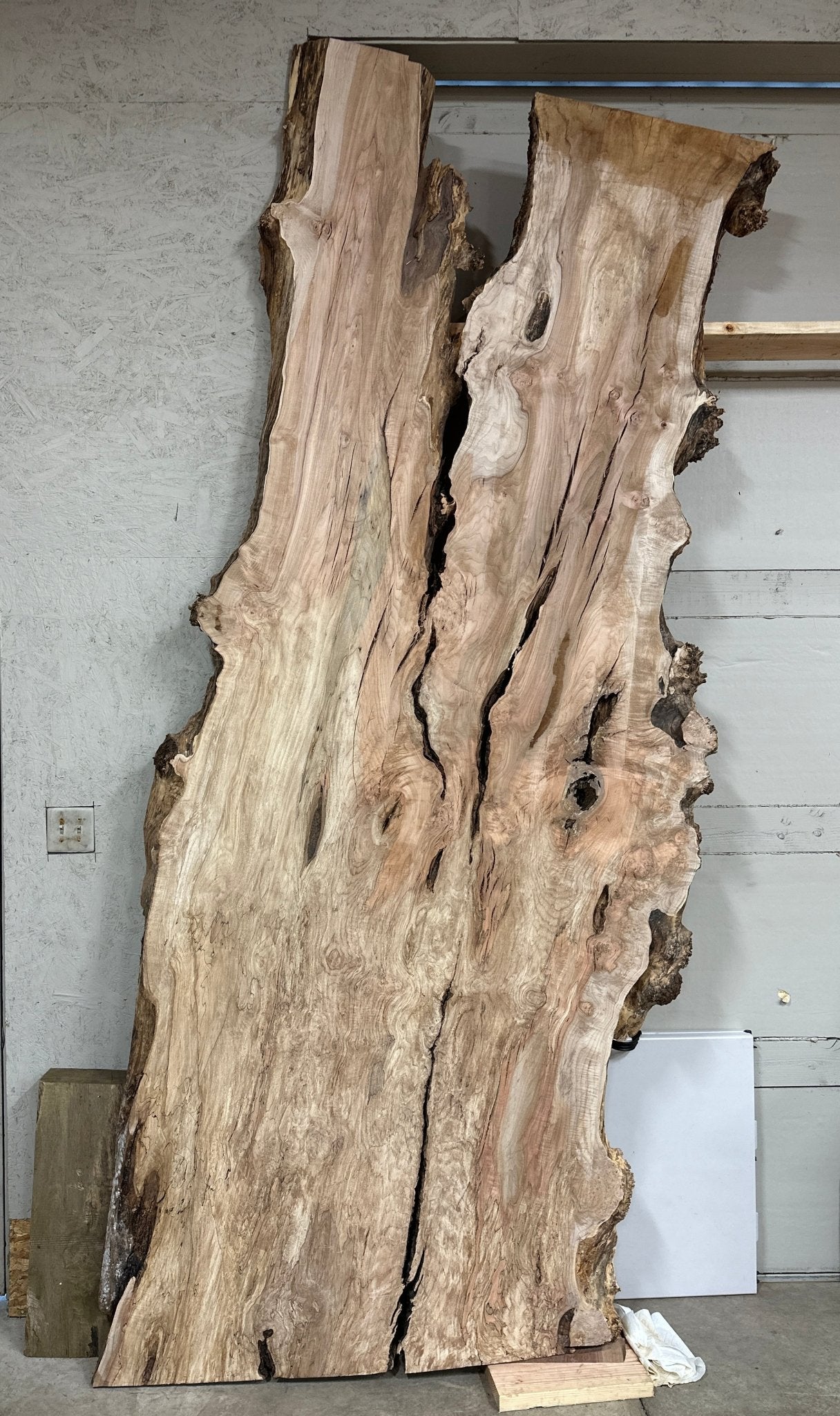 LiveEdge Big Leaf Maple | Big Leaf Maple | Hamilton Lee Supply