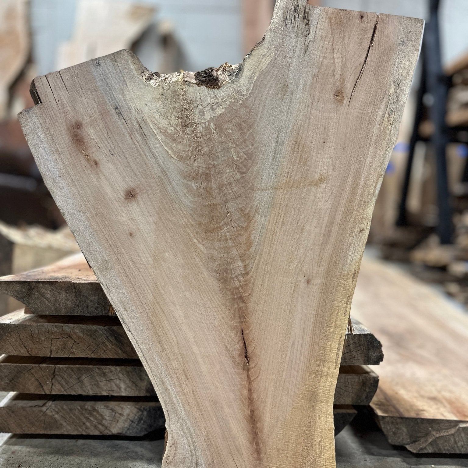 LiveEdge Big Leaf Maple | Big Leaf Maple | Hamilton Lee Supply