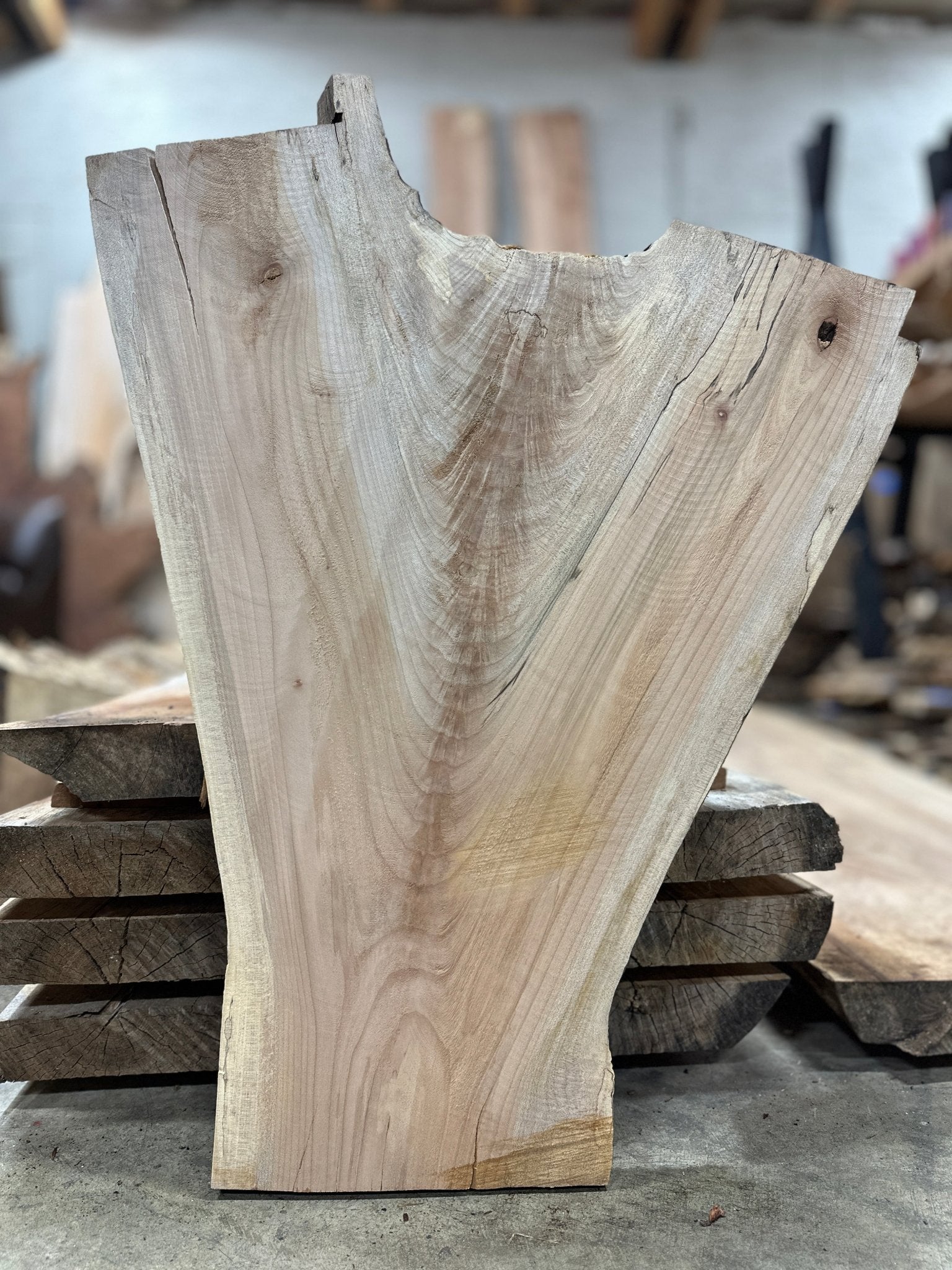 LiveEdge Big Leaf Maple | Big Leaf Maple | Hamilton Lee Supply