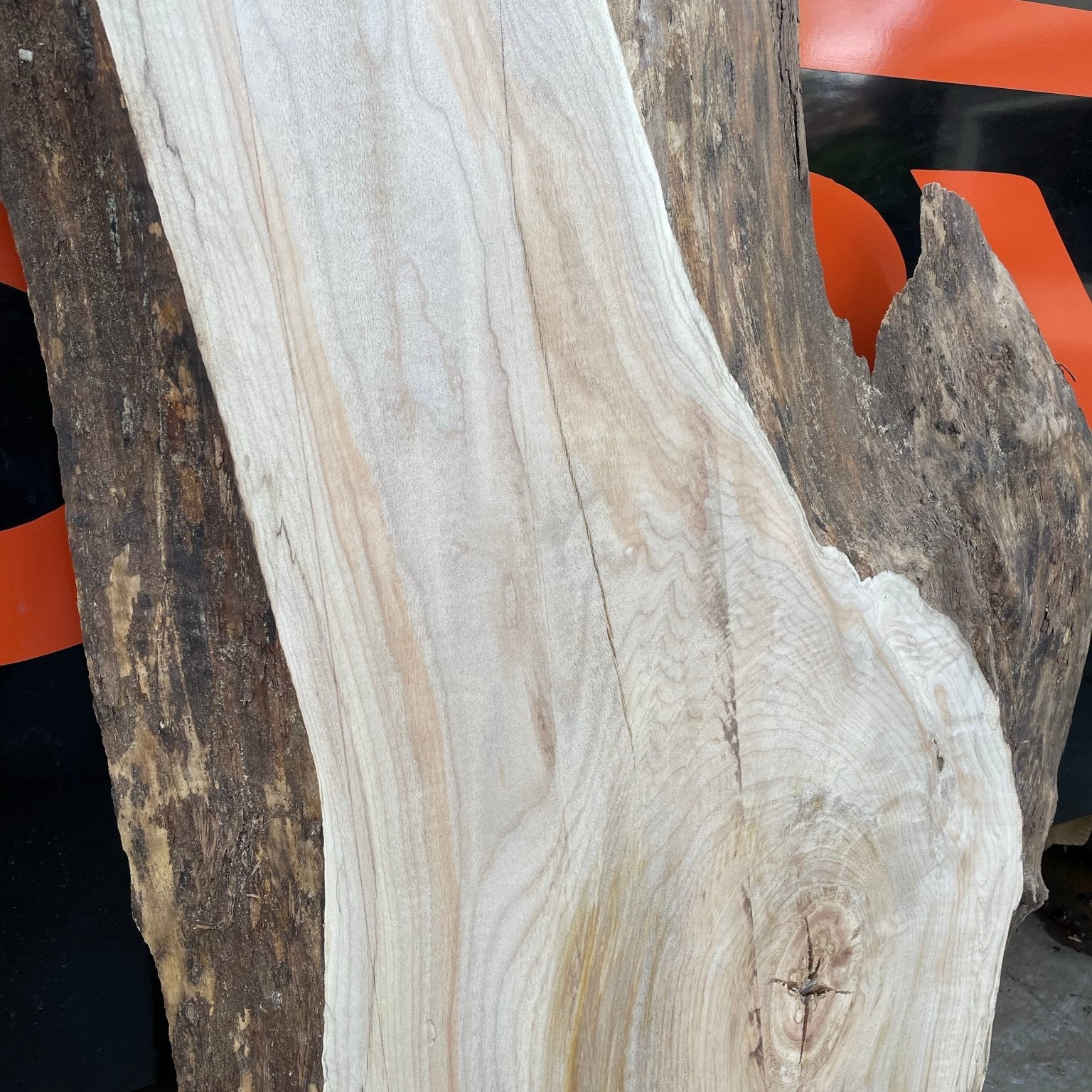 LiveEdge Big Leaf Maple | Craft Wood & Shapes | Hamilton Lee Supply