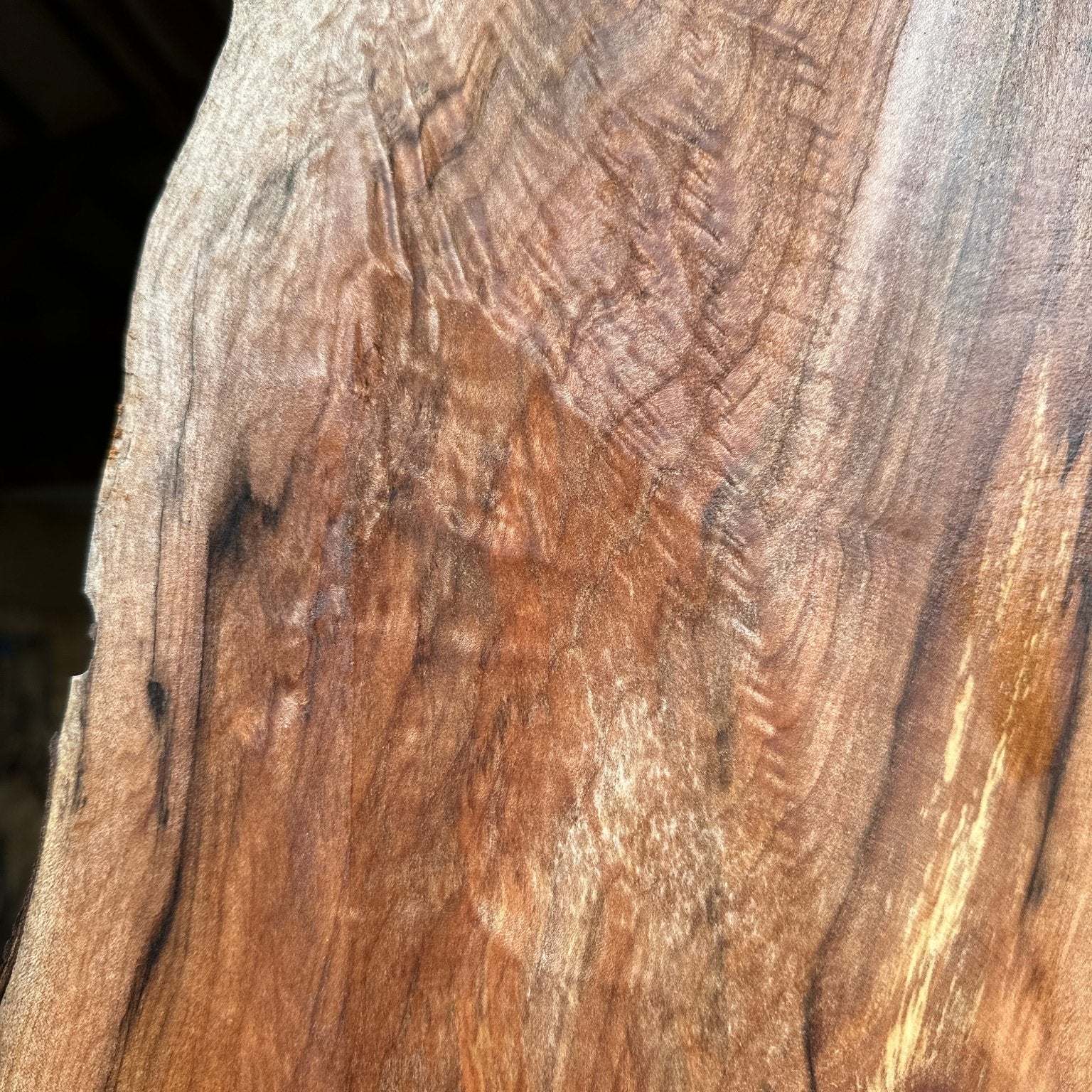 LiveEdge Big Leaf Maple | Big Leaf Maple | Hamilton Lee Supply