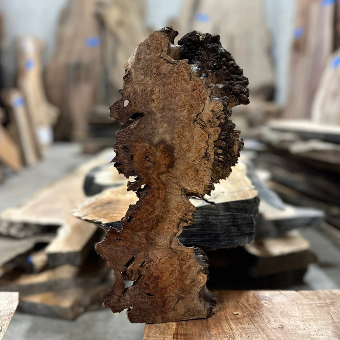Double Diamond | LiveEdge Big Leaf Maple | Big Leaf Maple | Hamilton Lee Supply