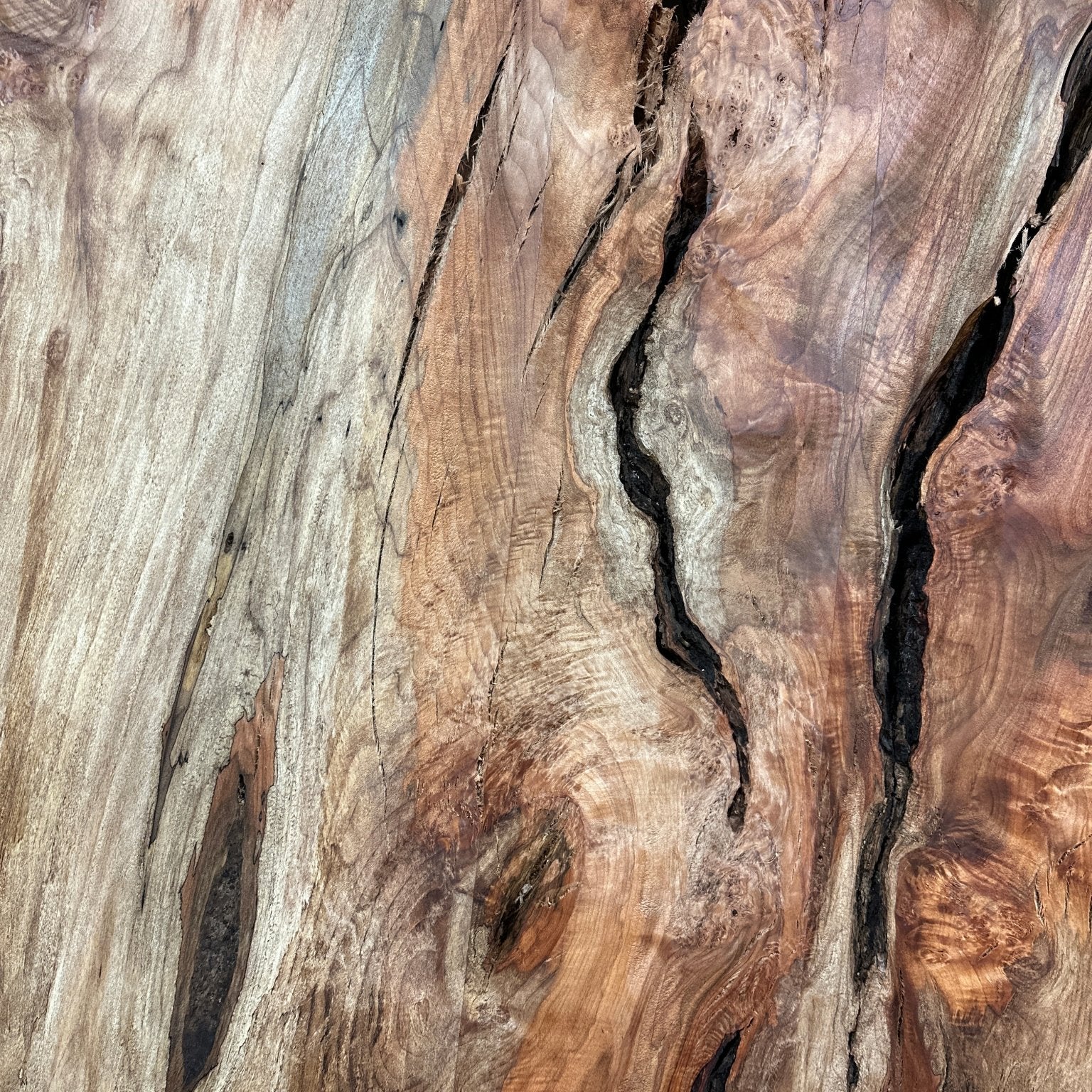 LiveEdge Big Leaf Maple | Big Leaf Maple | Hamilton Lee Supply